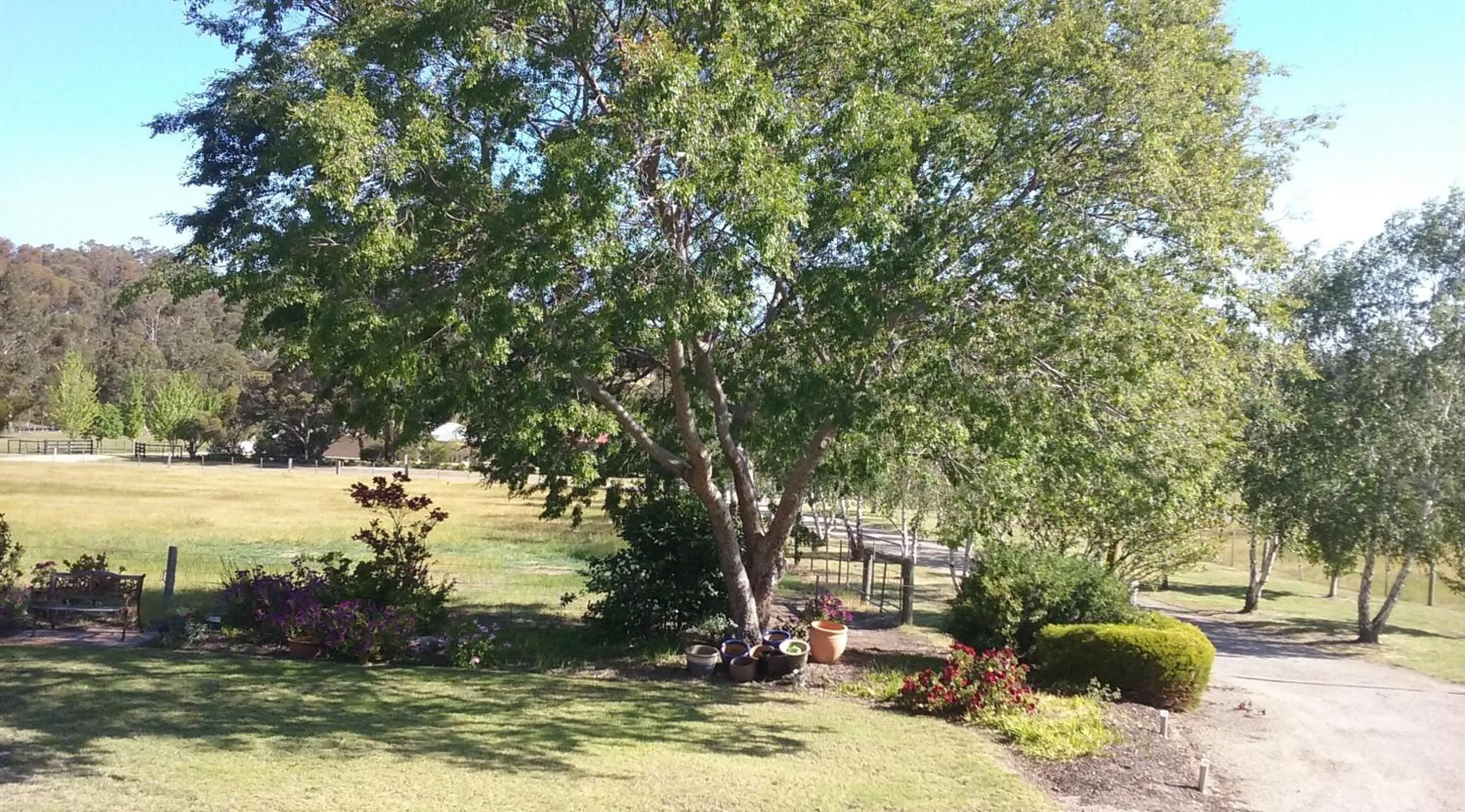 Garden in Nicholson BnB and Arts Centre