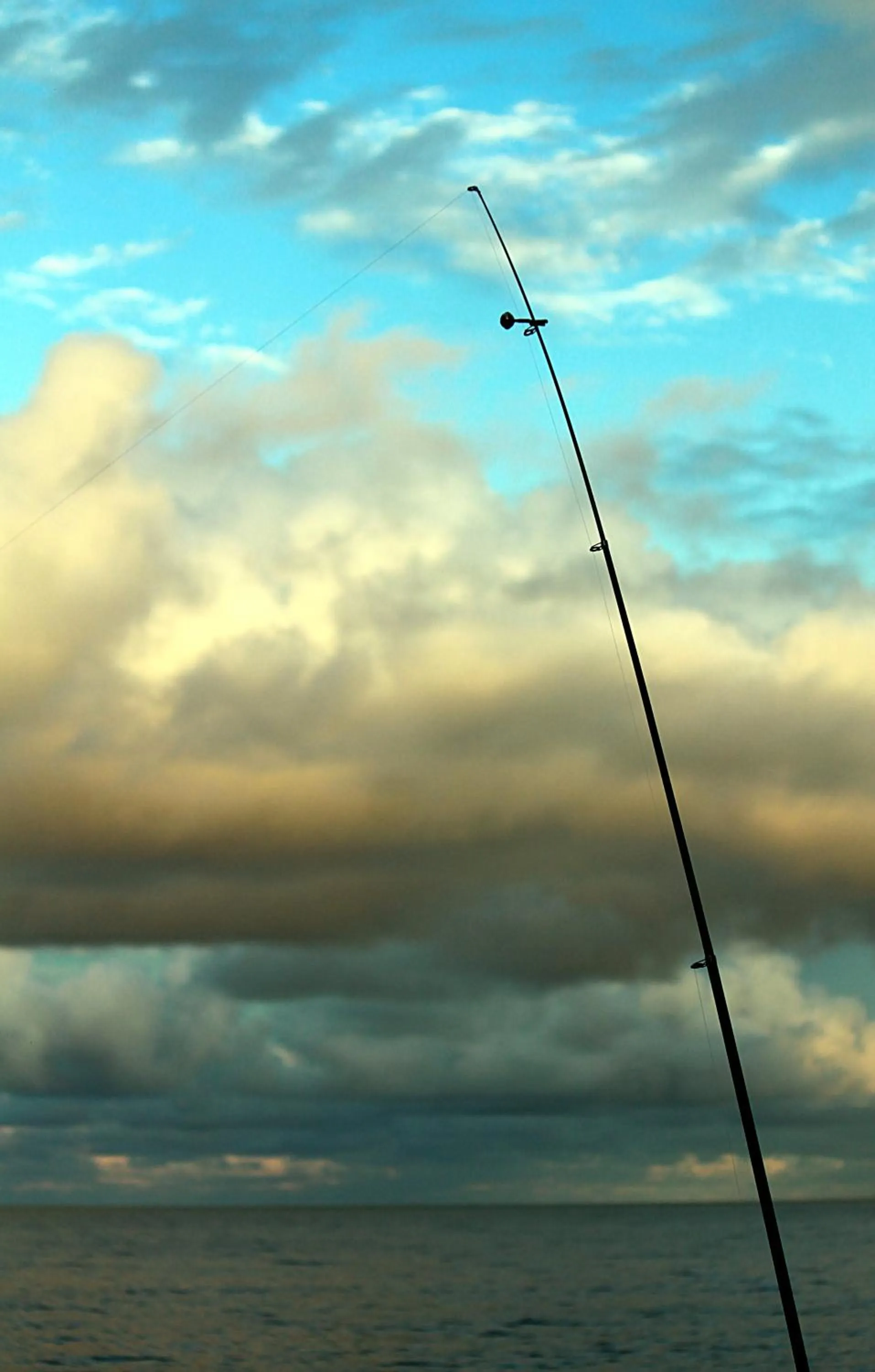 Natural landscape in Nicholson BnB and Arts Centre