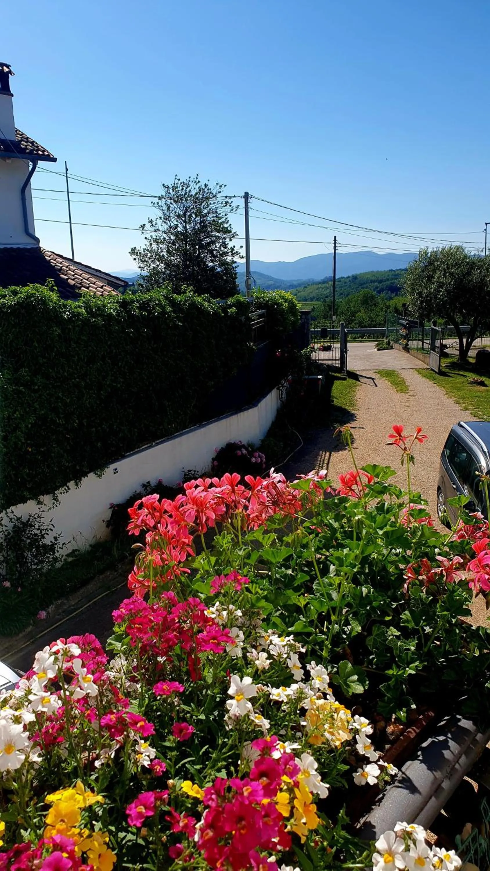 Property building in CasaRoman