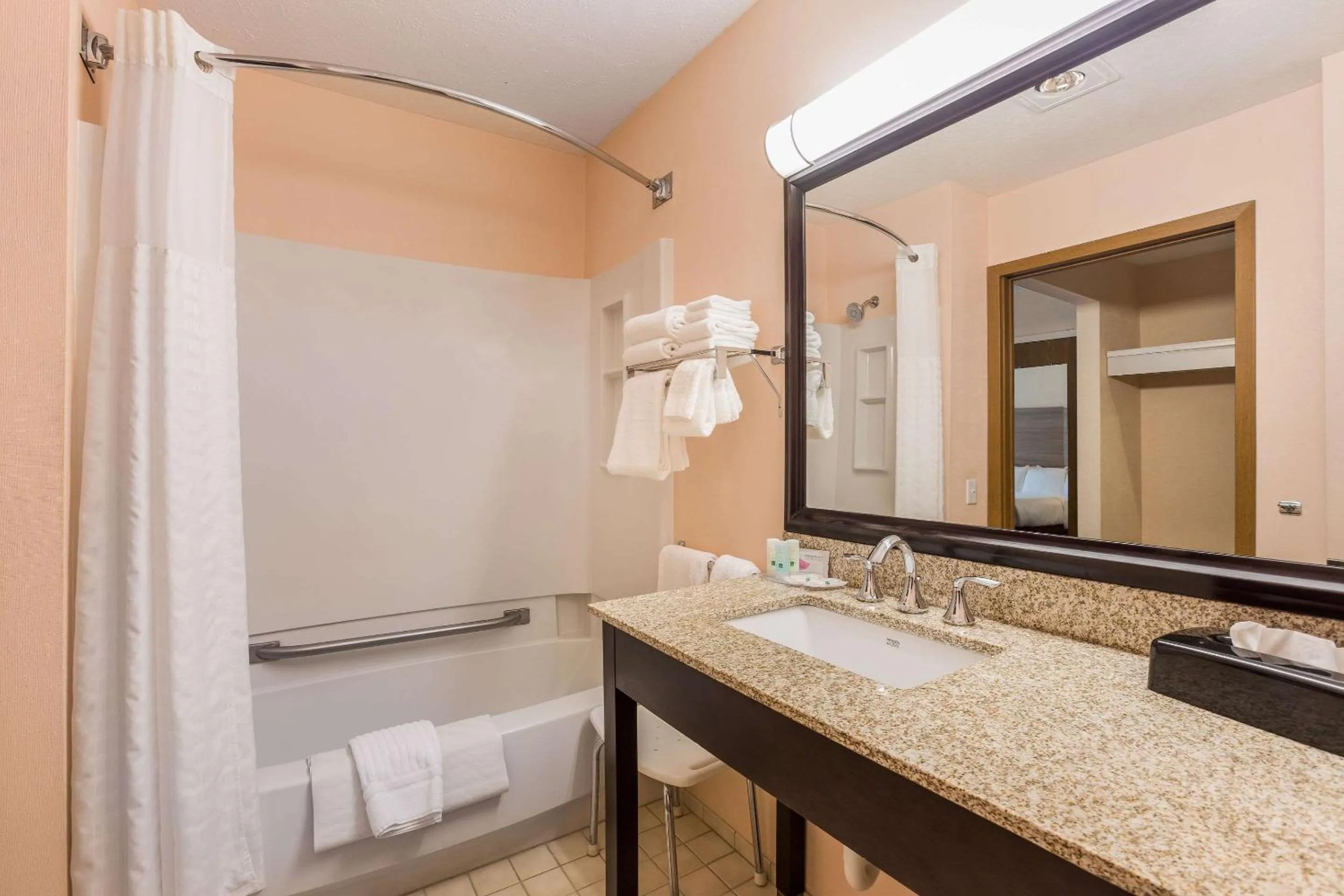 Bathroom in Quality Inn Petoskey-Harbor Springs
