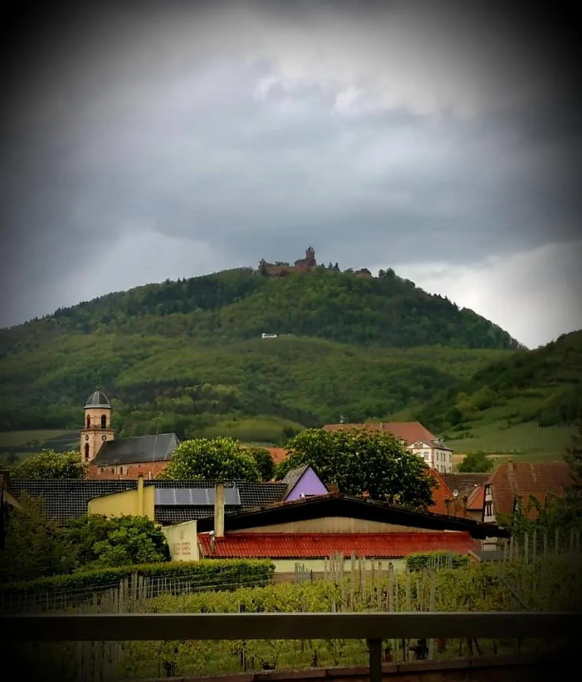 Natural landscape in Hotel Munsch Restaurant & Wellness, Colmar Nord - Haut-Koenigsbourg