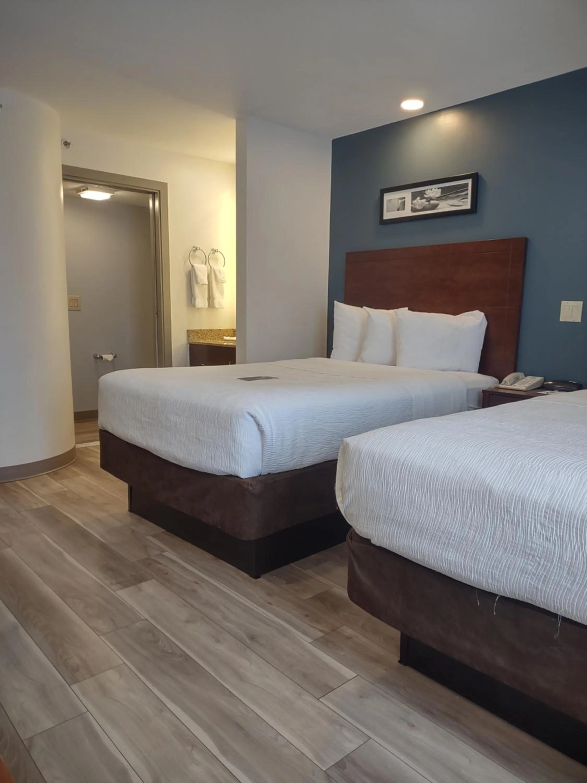 Bed in Baymont by Wyndham Flat Rock