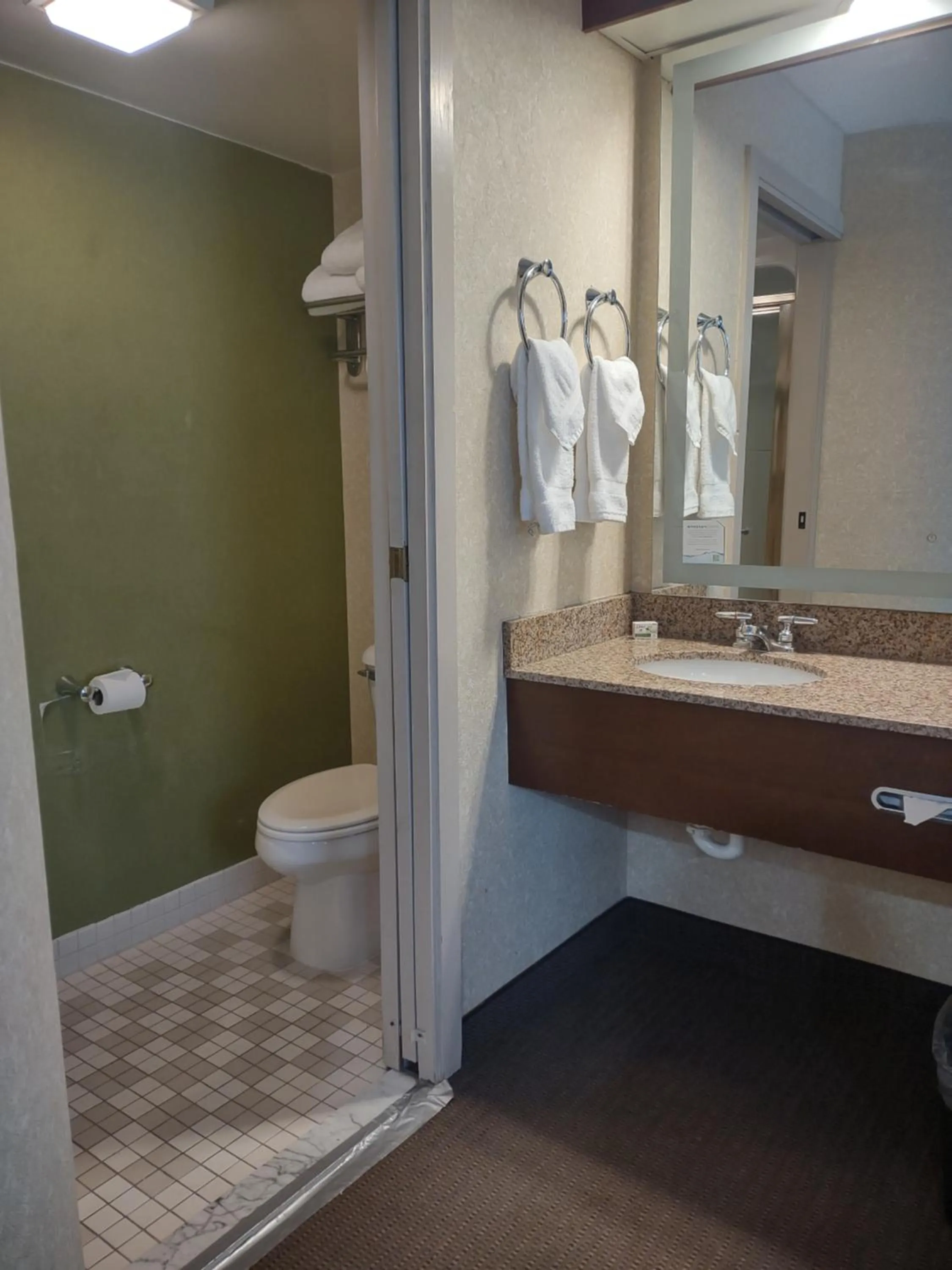 Toilet in Baymont by Wyndham Flat Rock