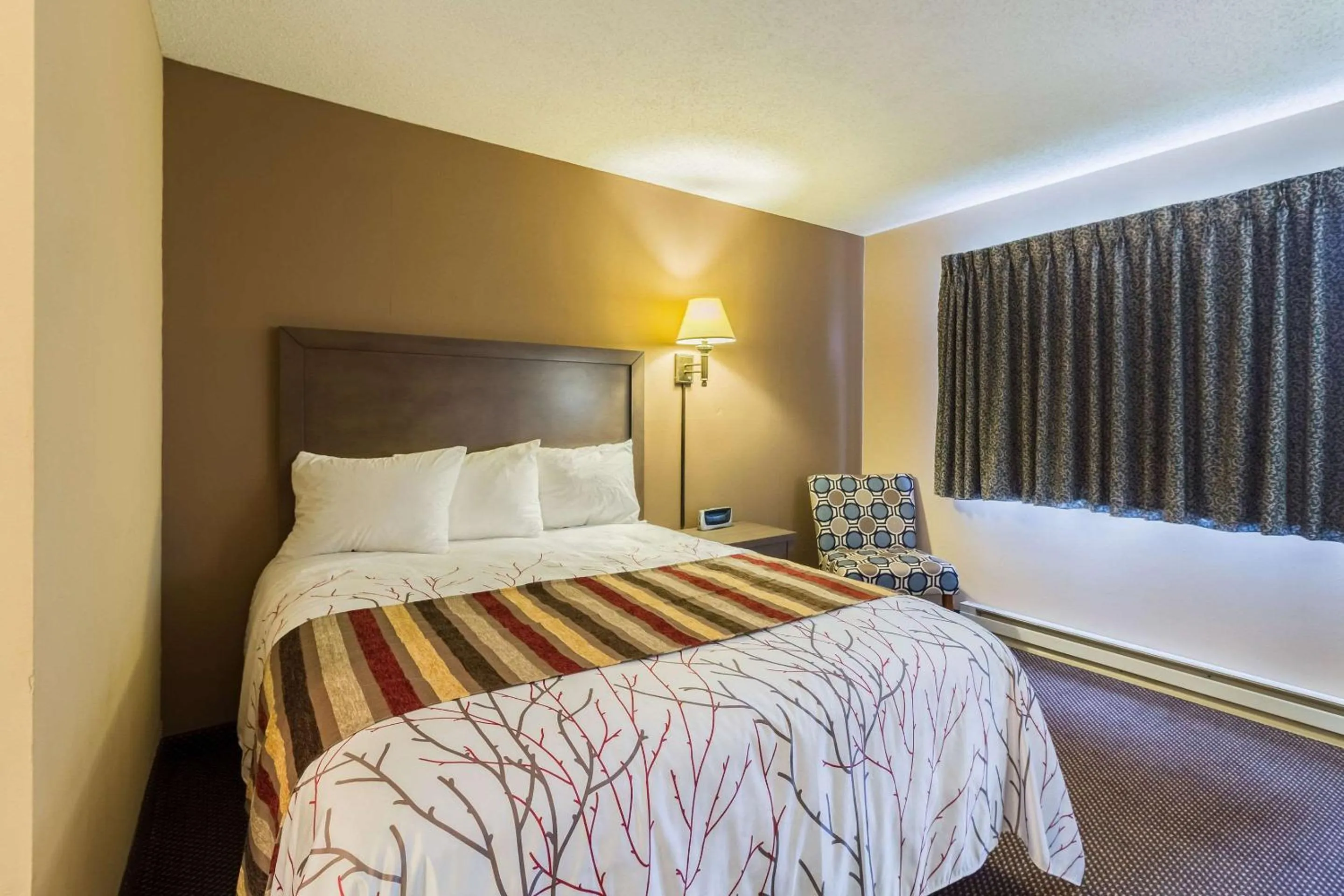 Bedroom, Bed in Rodeway Inn