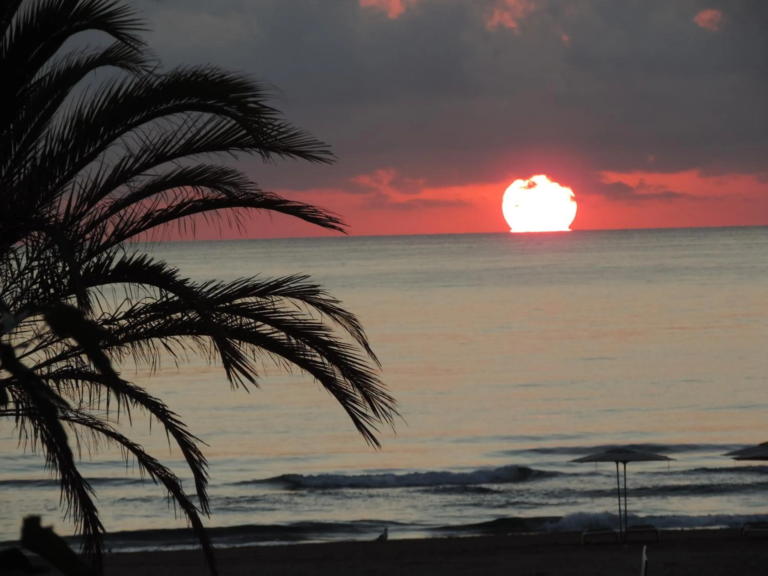 Natural landscape in Hotel San Luis