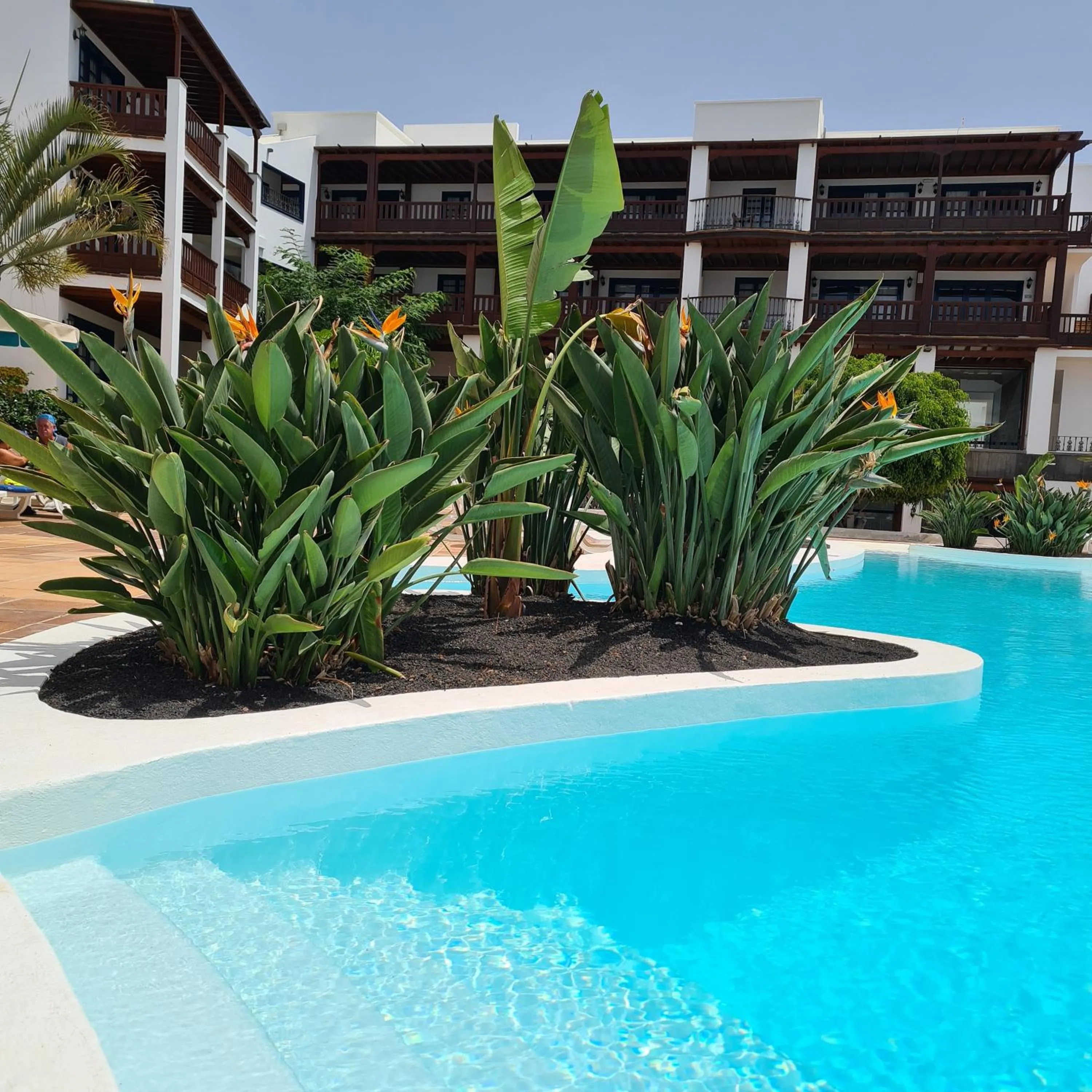 Swimming pool in Nazaret Mansion