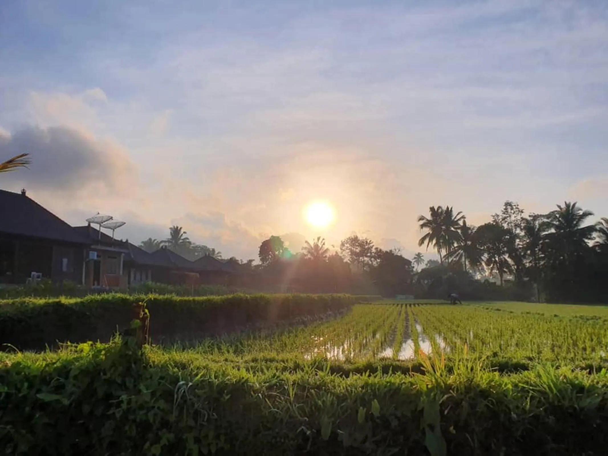 Natural landscape in Kayangan Villa Ubud