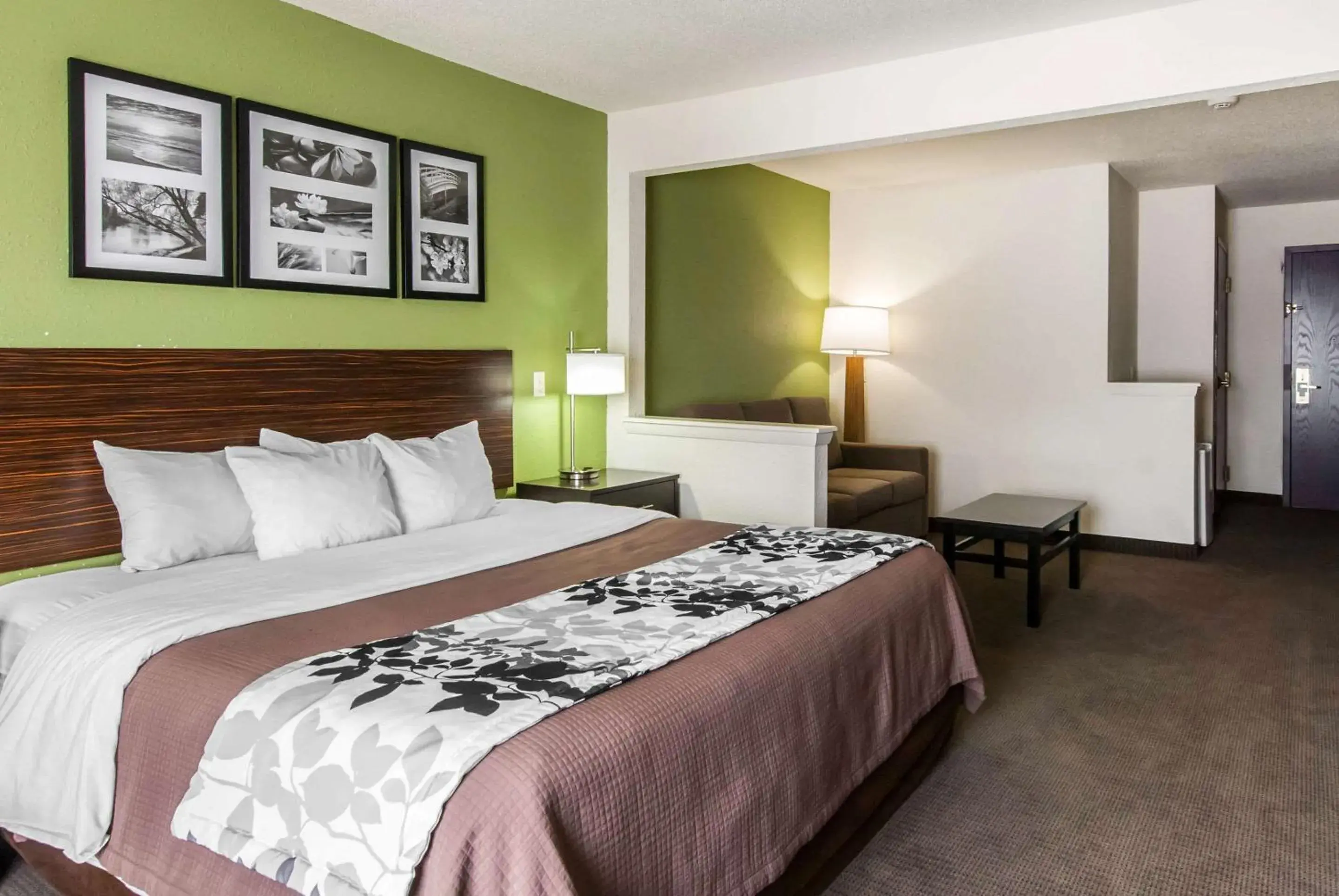 King Suite - Non-Smoking in Sleep Inn King Suite - Non-Smoking in Sleep Inn