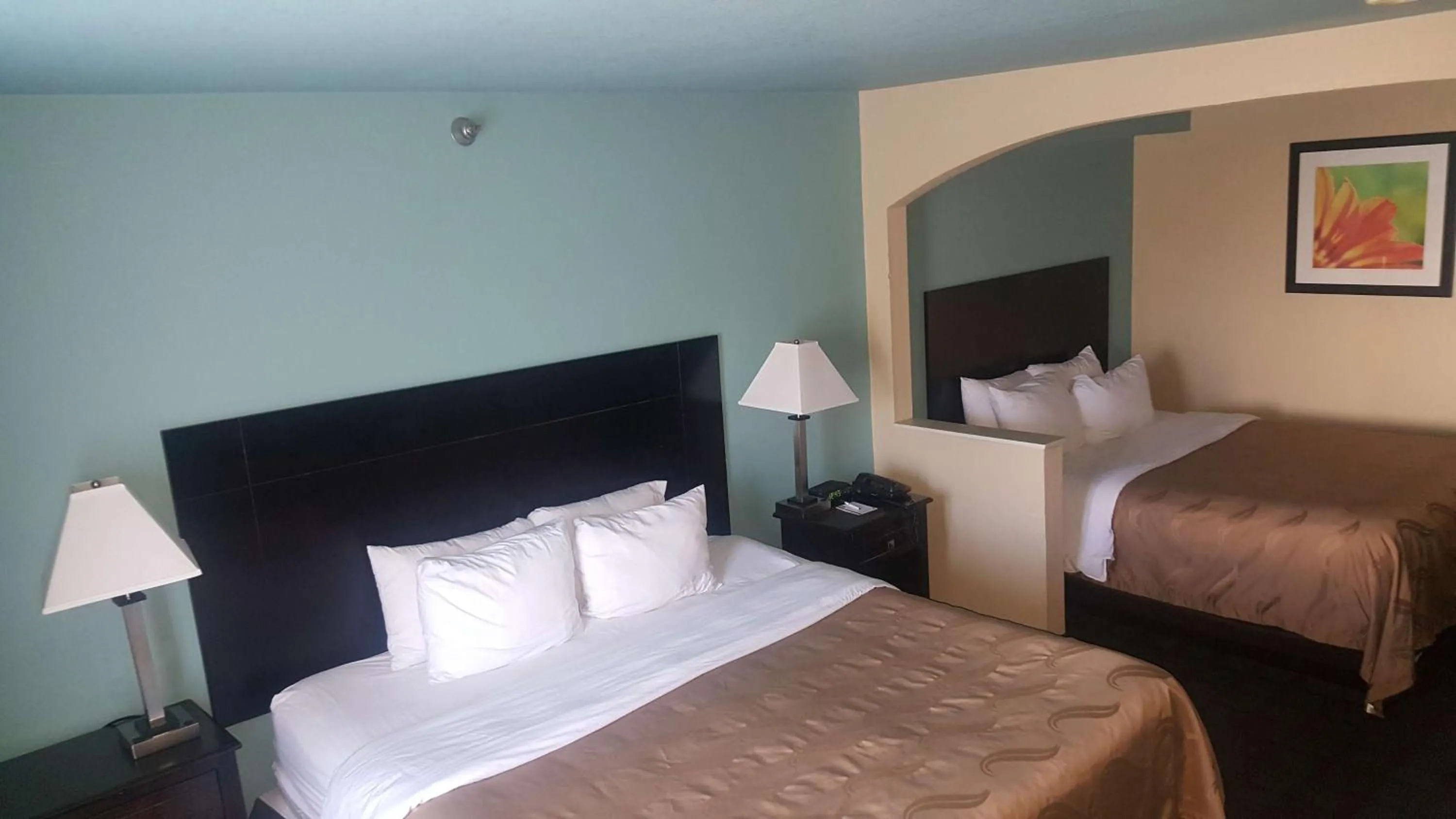 Photo of the whole room, Bed in Red Lion Inn & Suites Blue Springs