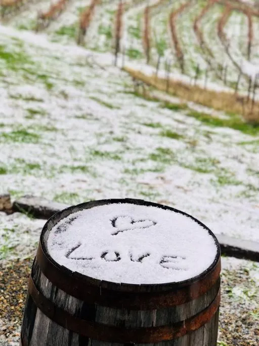 Papillon Cellars - The Loft