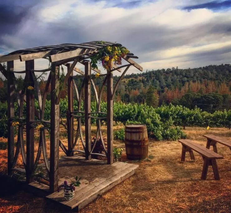 Natural landscape in Papillon Cellars - The Loft