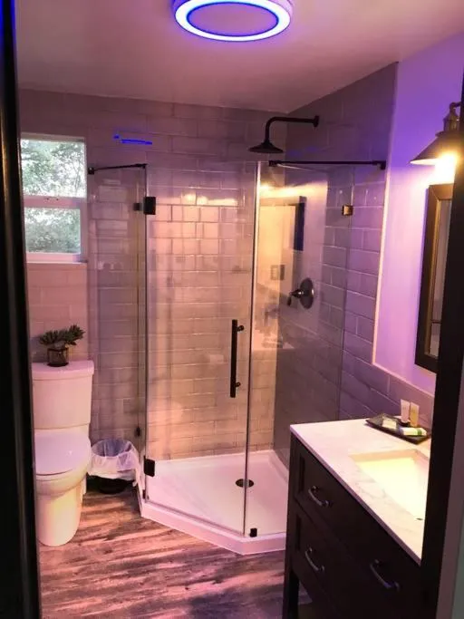 Shower in Papillon Cellars - The Loft