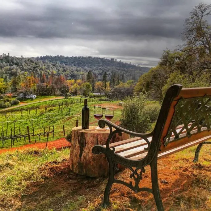 Natural landscape in Papillon Cellars - The Loft