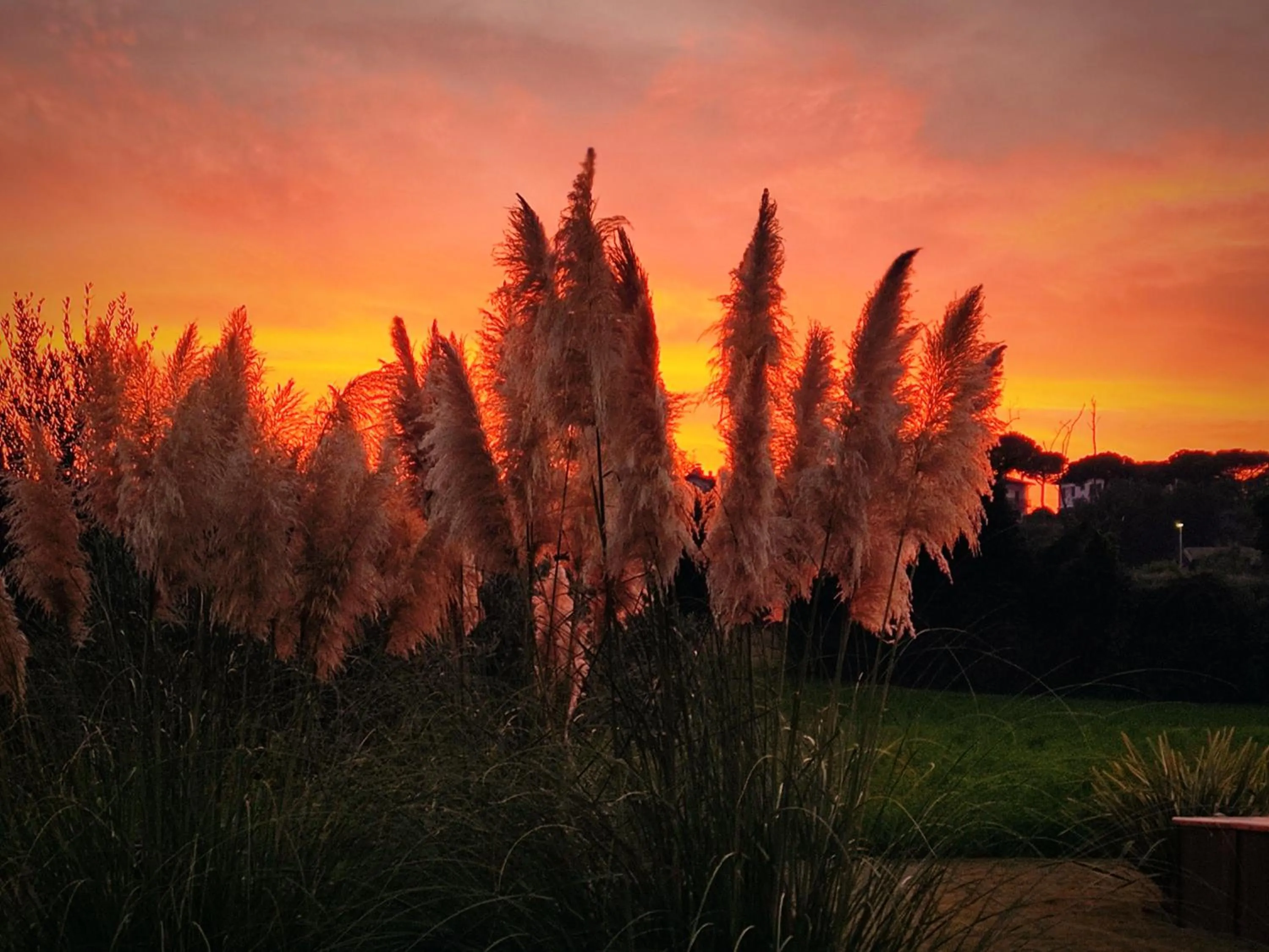 Property building in Bed & Breakfast IL PAJO