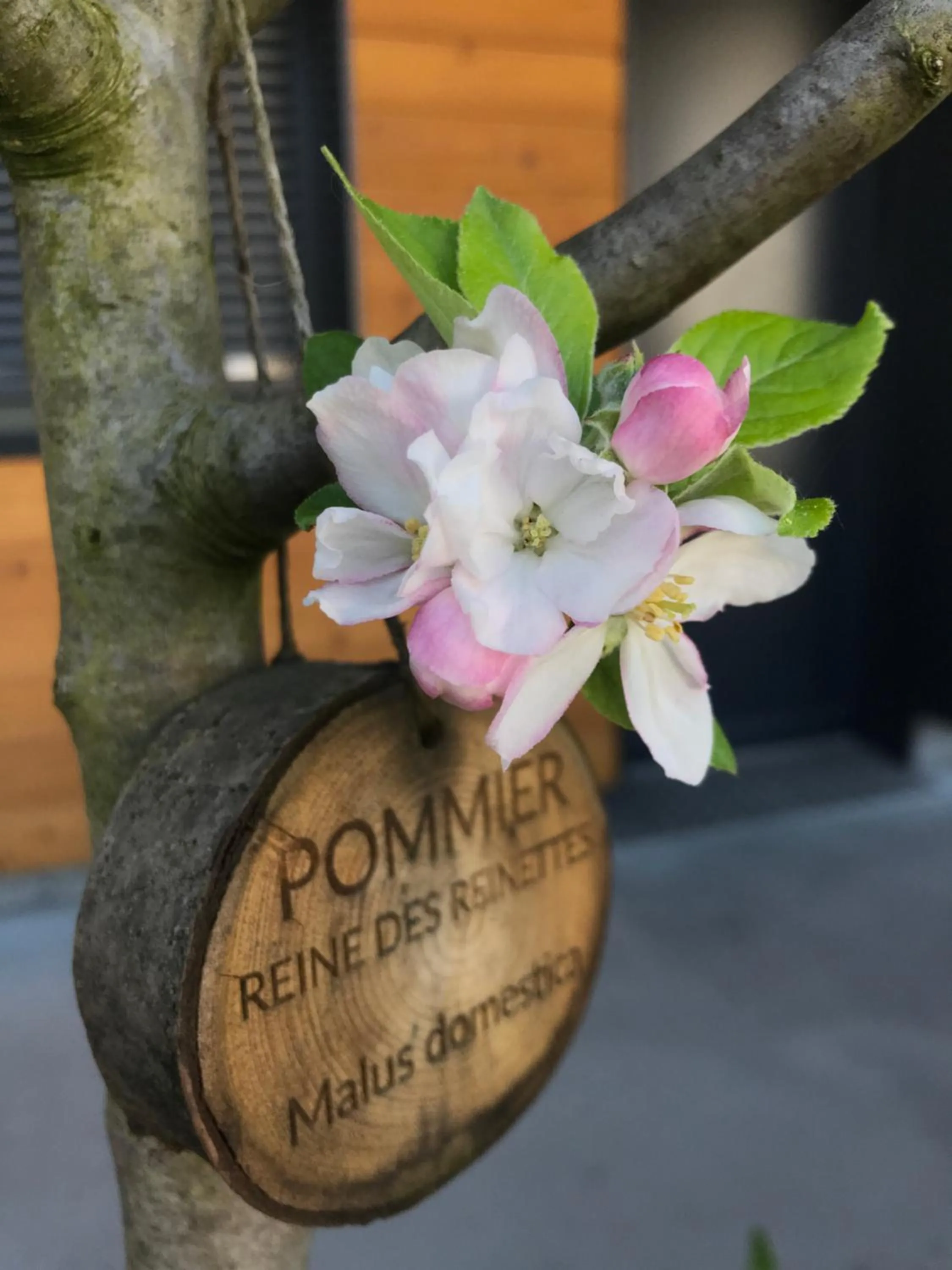Garden in Eklo Hotels Bordeaux Centre Bastide