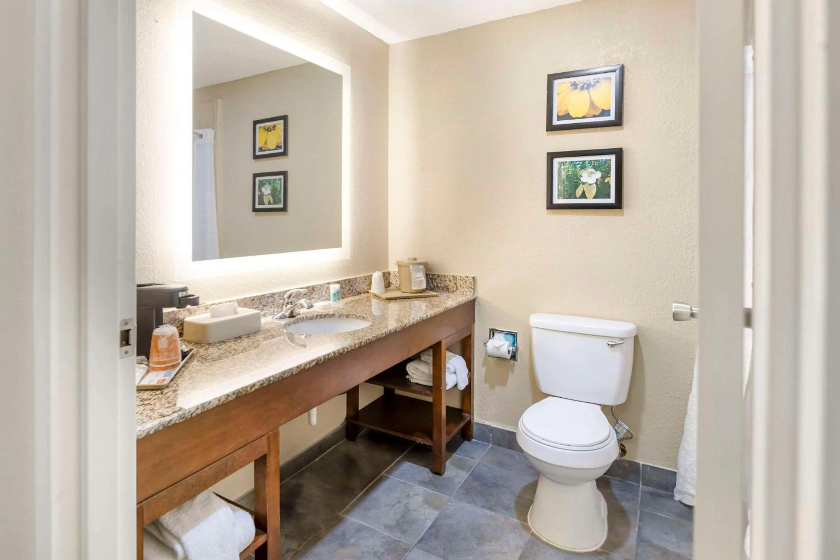 Bedroom in Comfort Inn Meridian - Bonita Lakes