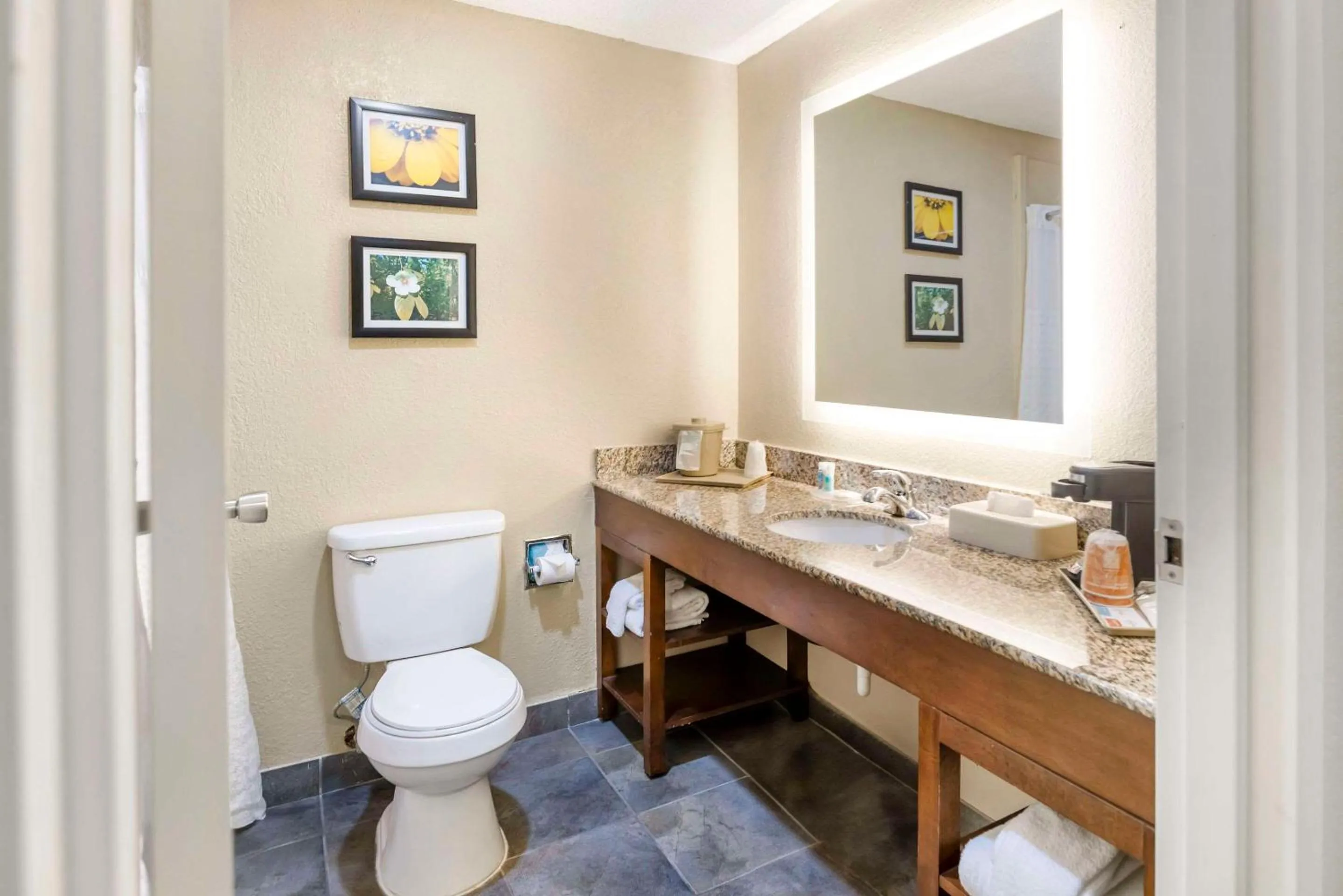 Bedroom in Comfort Inn Meridian - Bonita Lakes