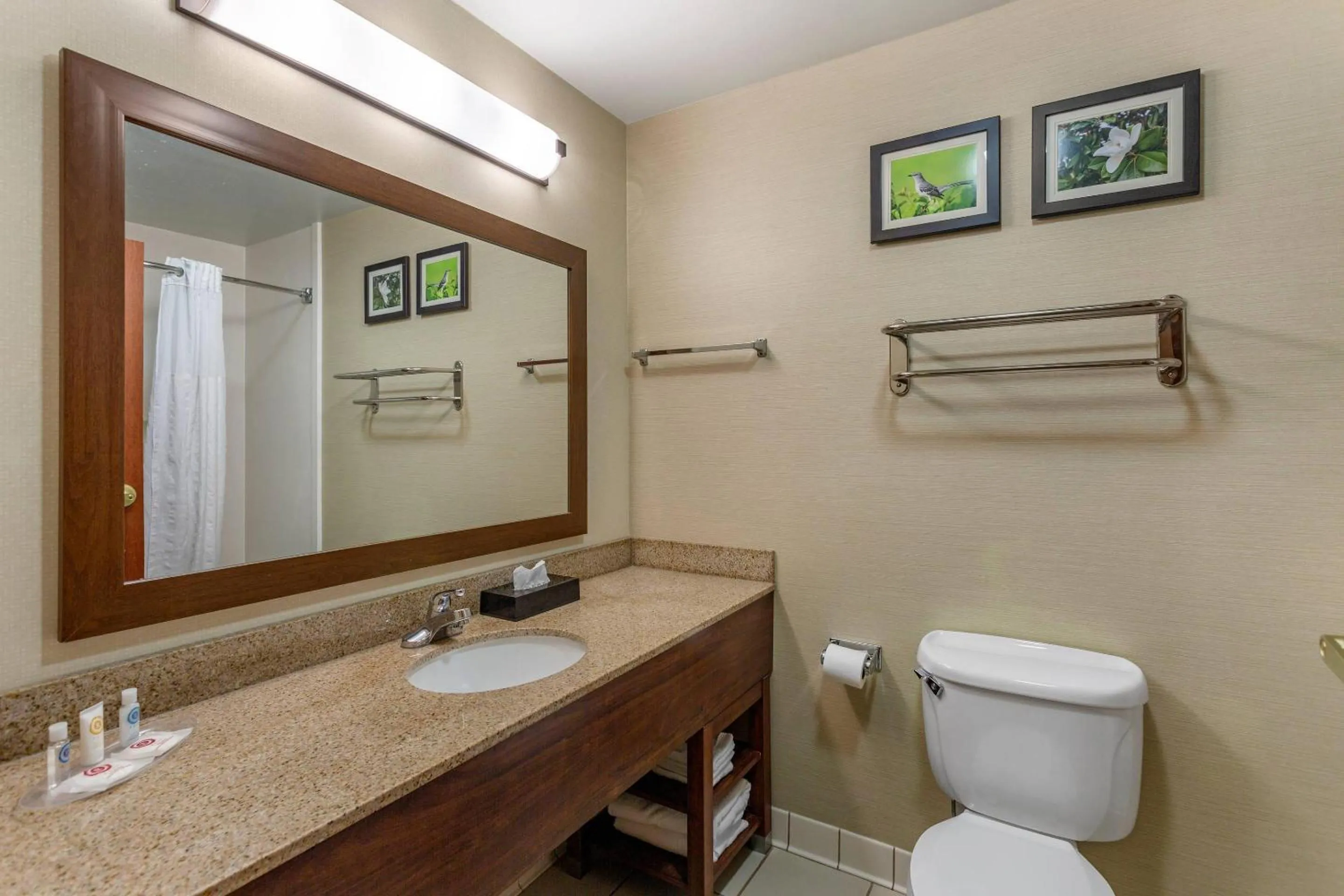 Bedroom in Comfort Suites Southaven - Memphis South