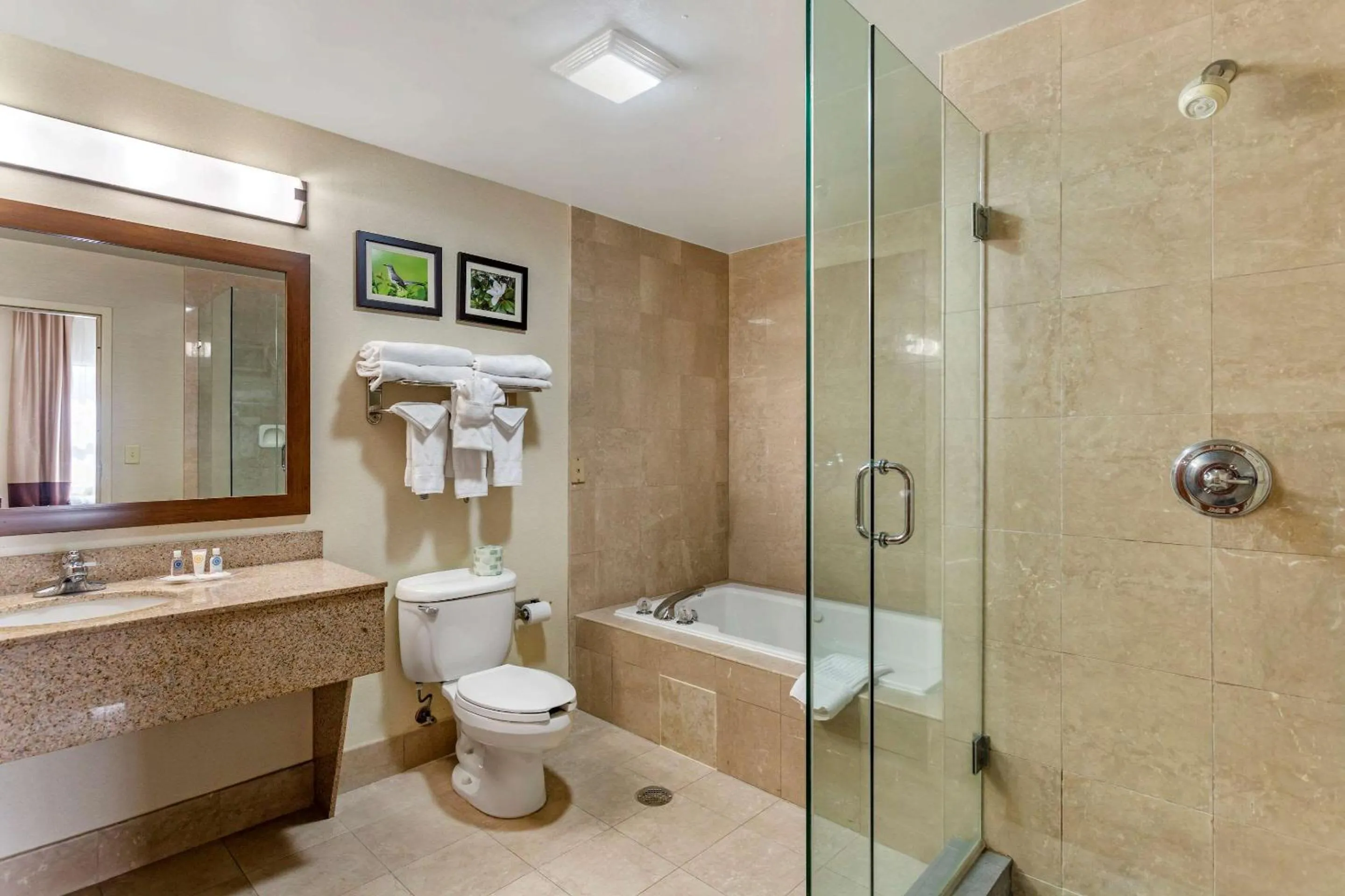 Comfort Suites Southaven - Memphis South