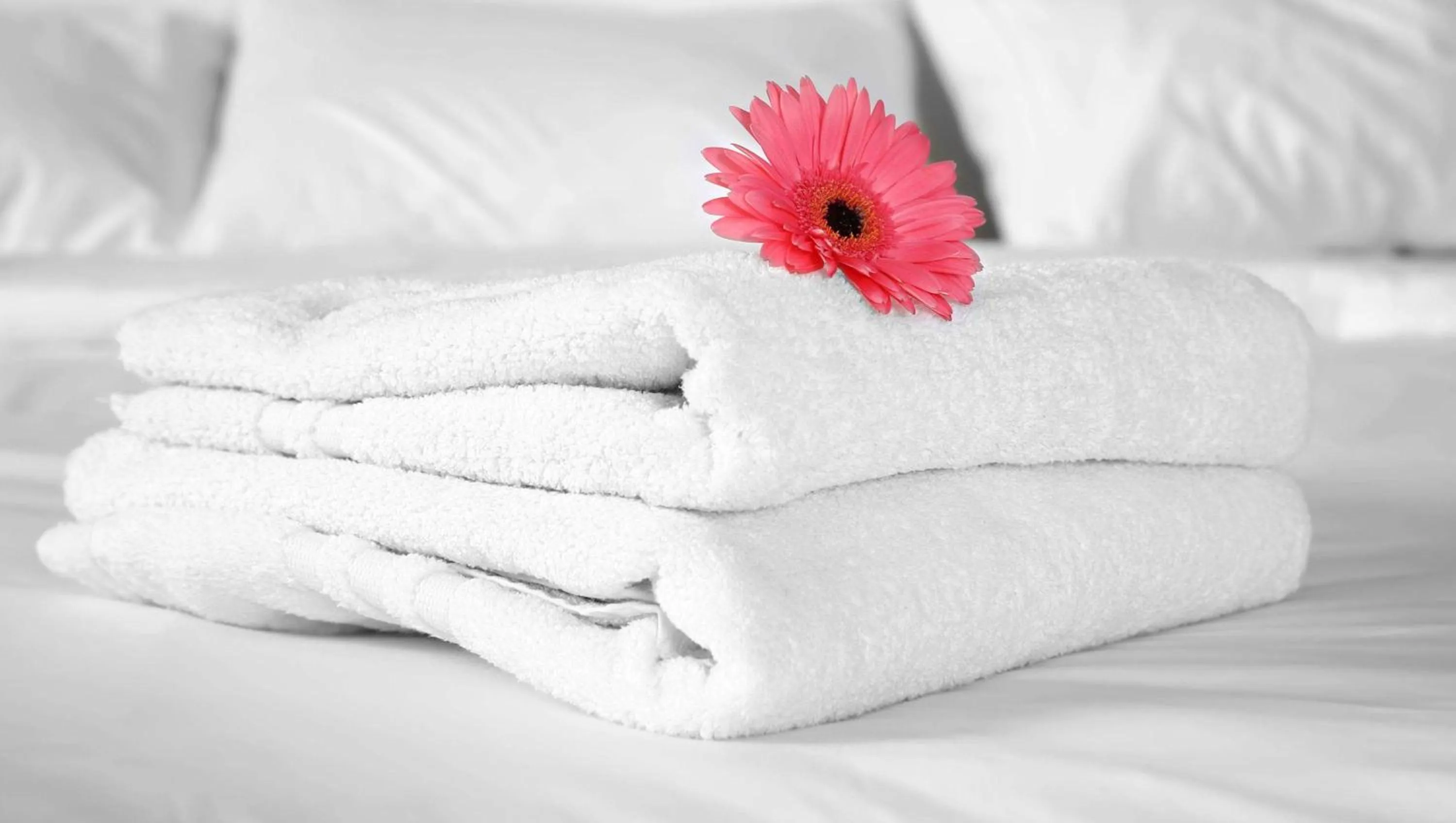 Photo of the whole room, Bed in Econo Lodge Inn & Suites Ocean Springs - Biloxi