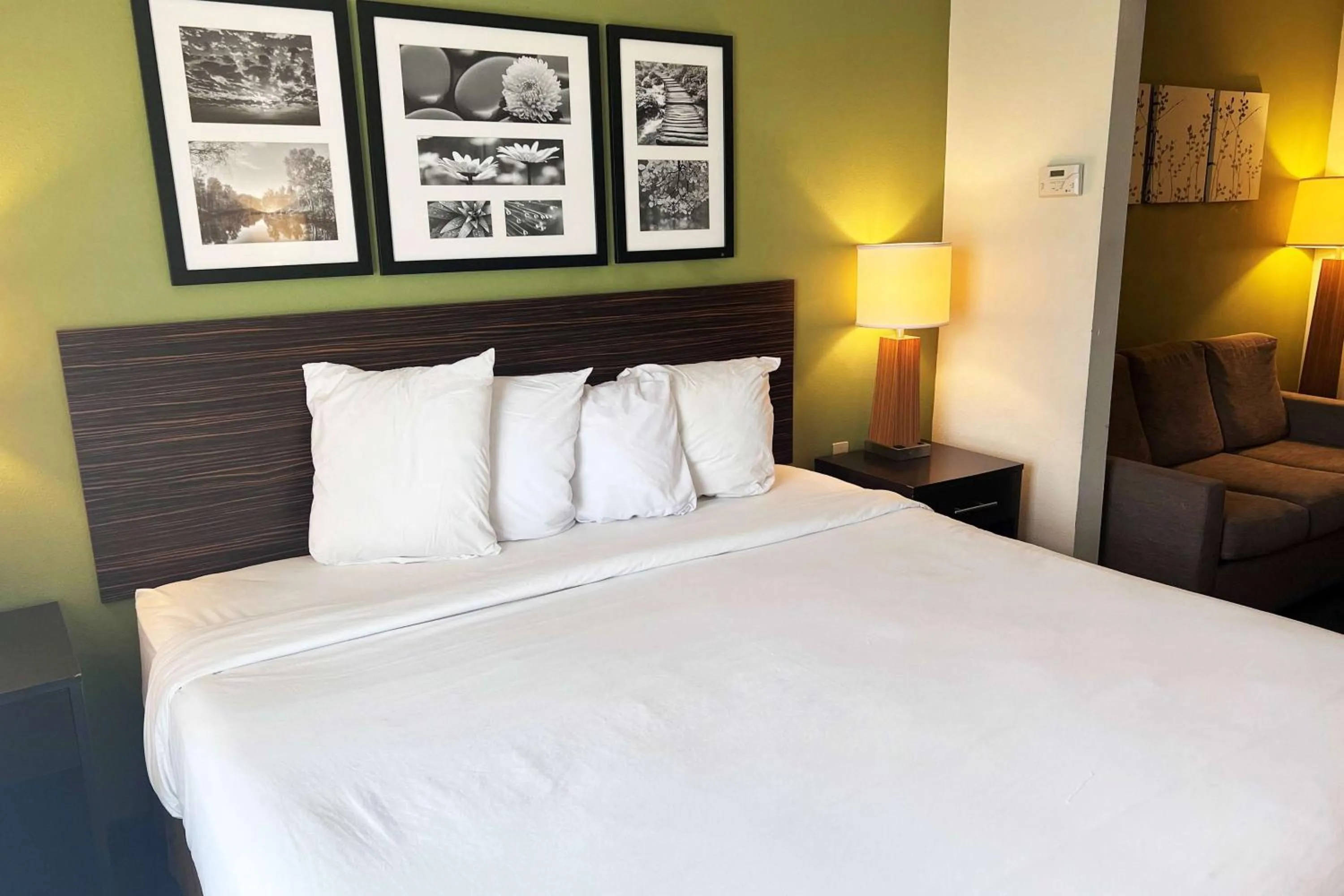 Photo of the whole room in Ramada by Wyndham Jackson MS