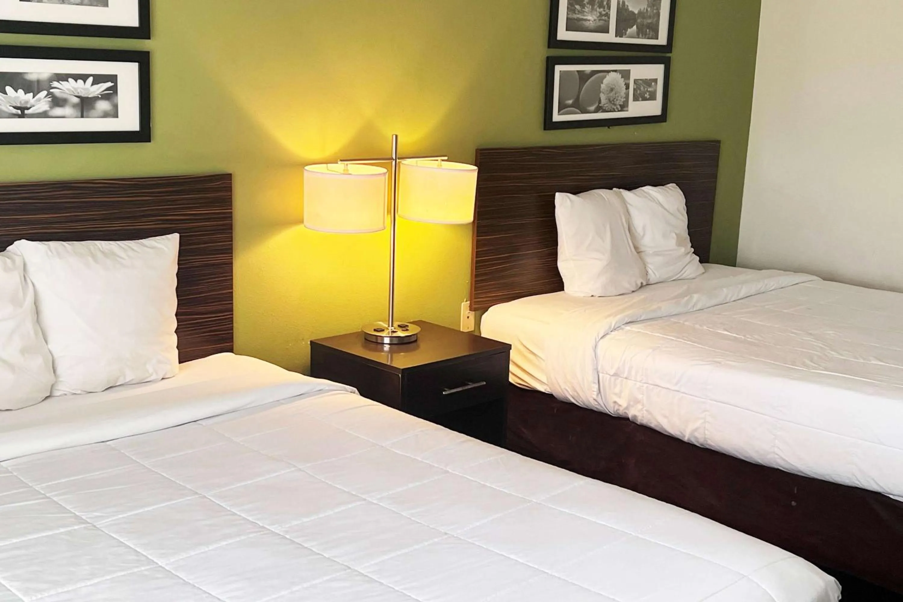 Photo of the whole room in Ramada by Wyndham Jackson MS