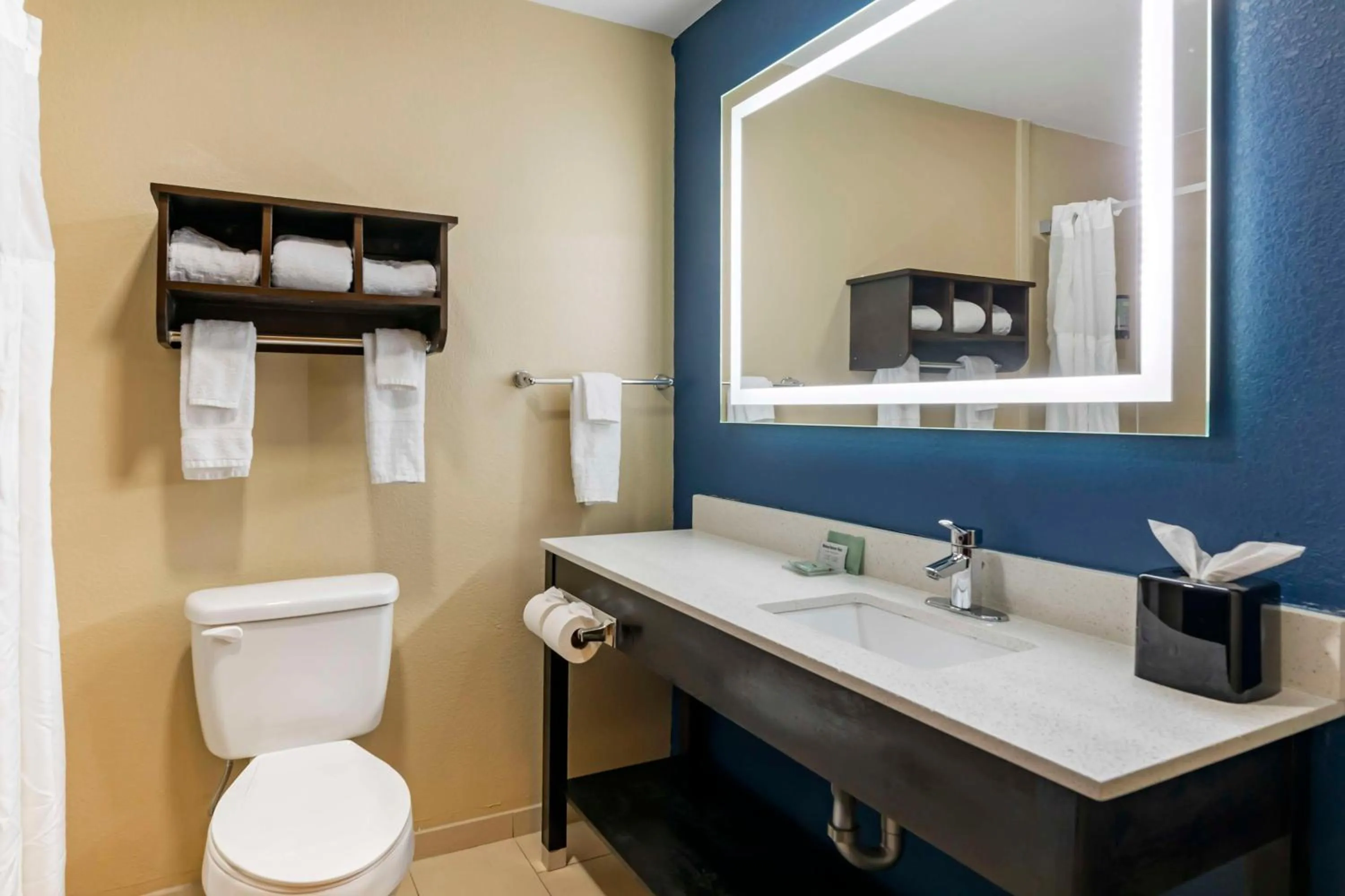 Bathroom in Best Western New Albany