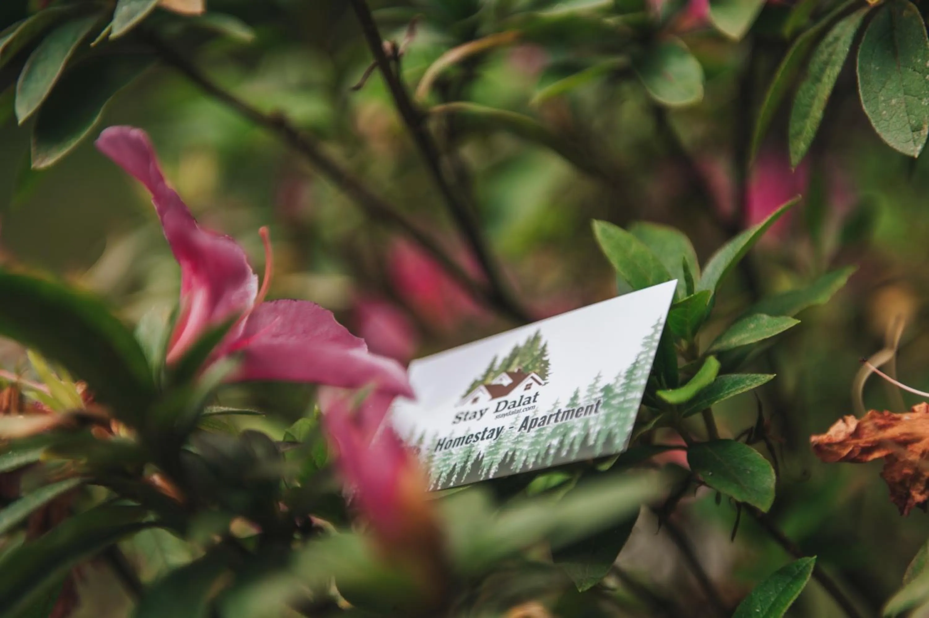 Spring in Ngàn Phố Studio & Love Hotel