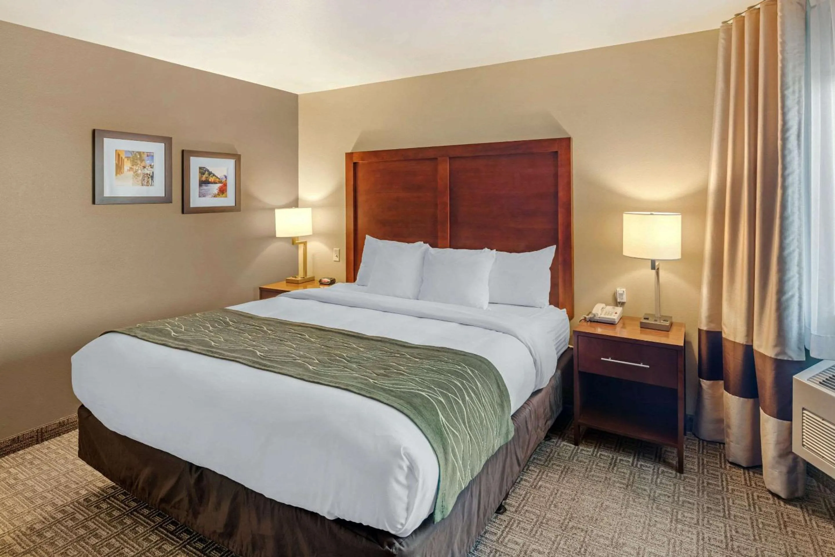 Photo of the whole room, Bed in Comfort Inn Missoula near University