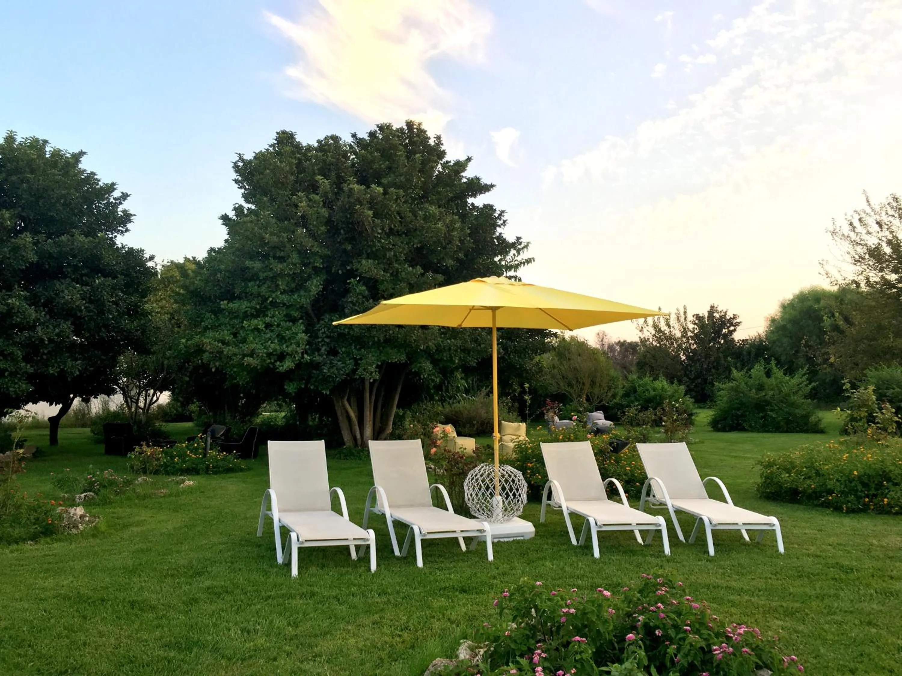 Garden in Tenuta DonnAnna Agriturismo&Glamping