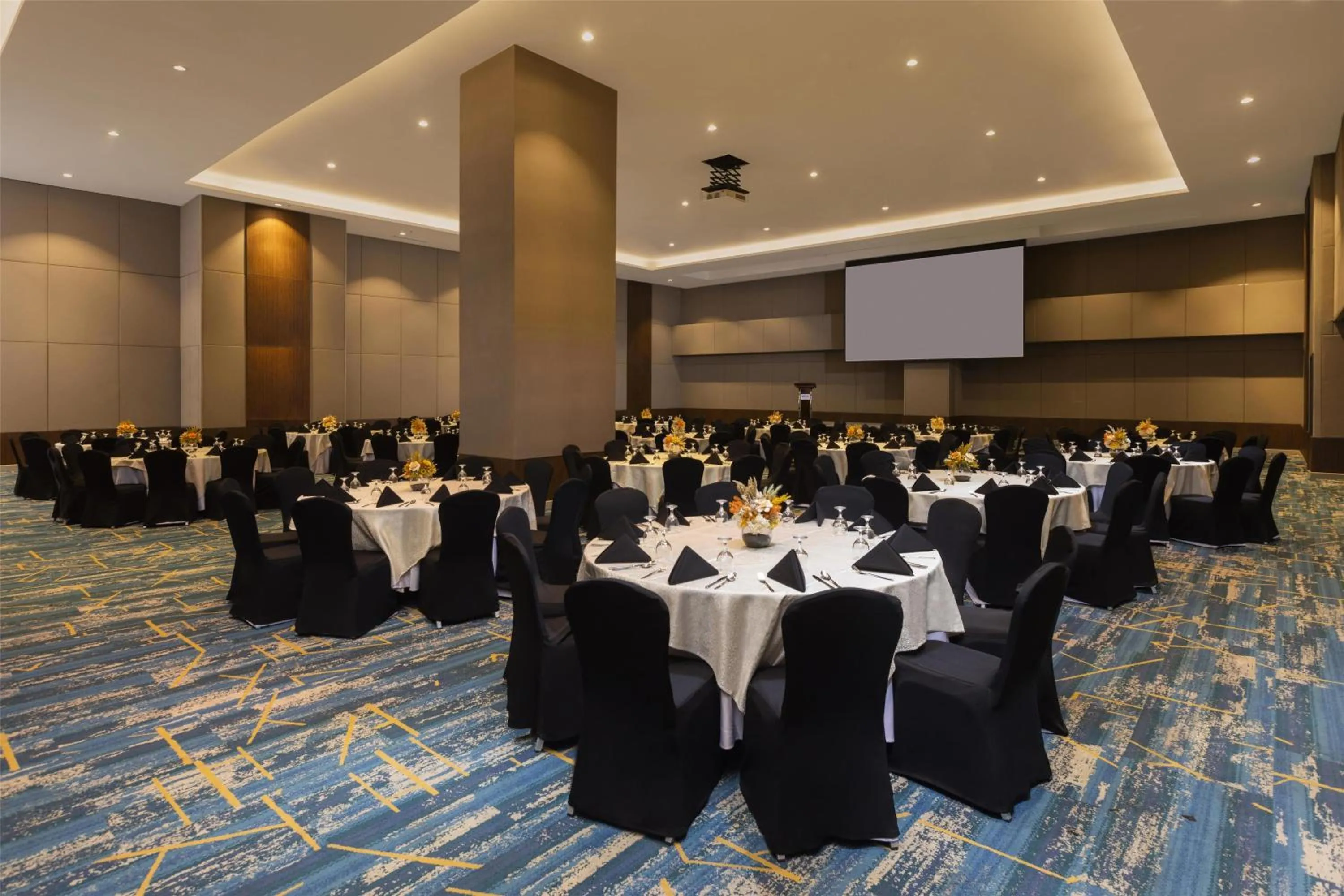 Banquet/Function facilities in Park Inn by Radisson North Edsa