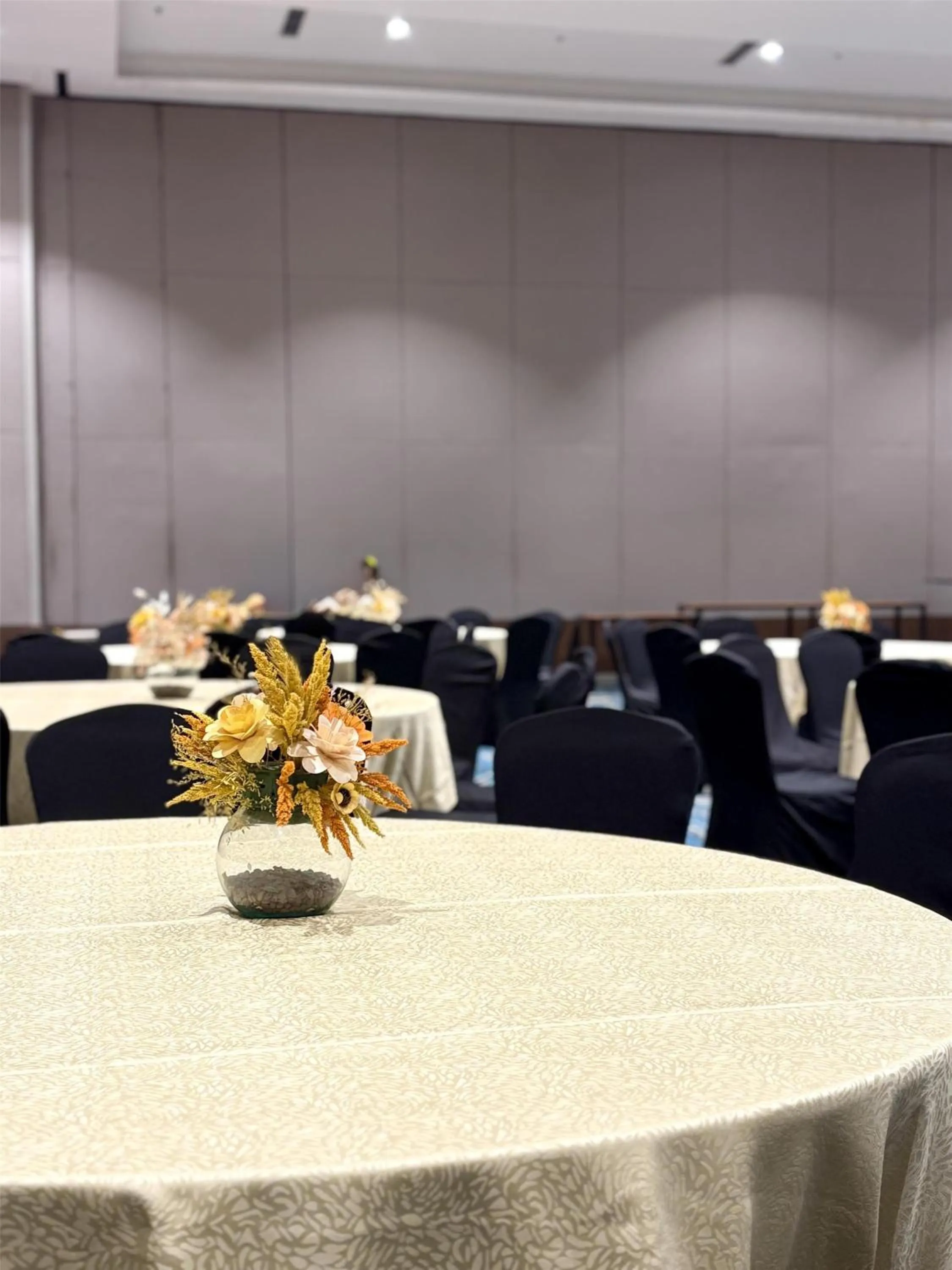 Banquet/Function facilities in Park Inn by Radisson North Edsa