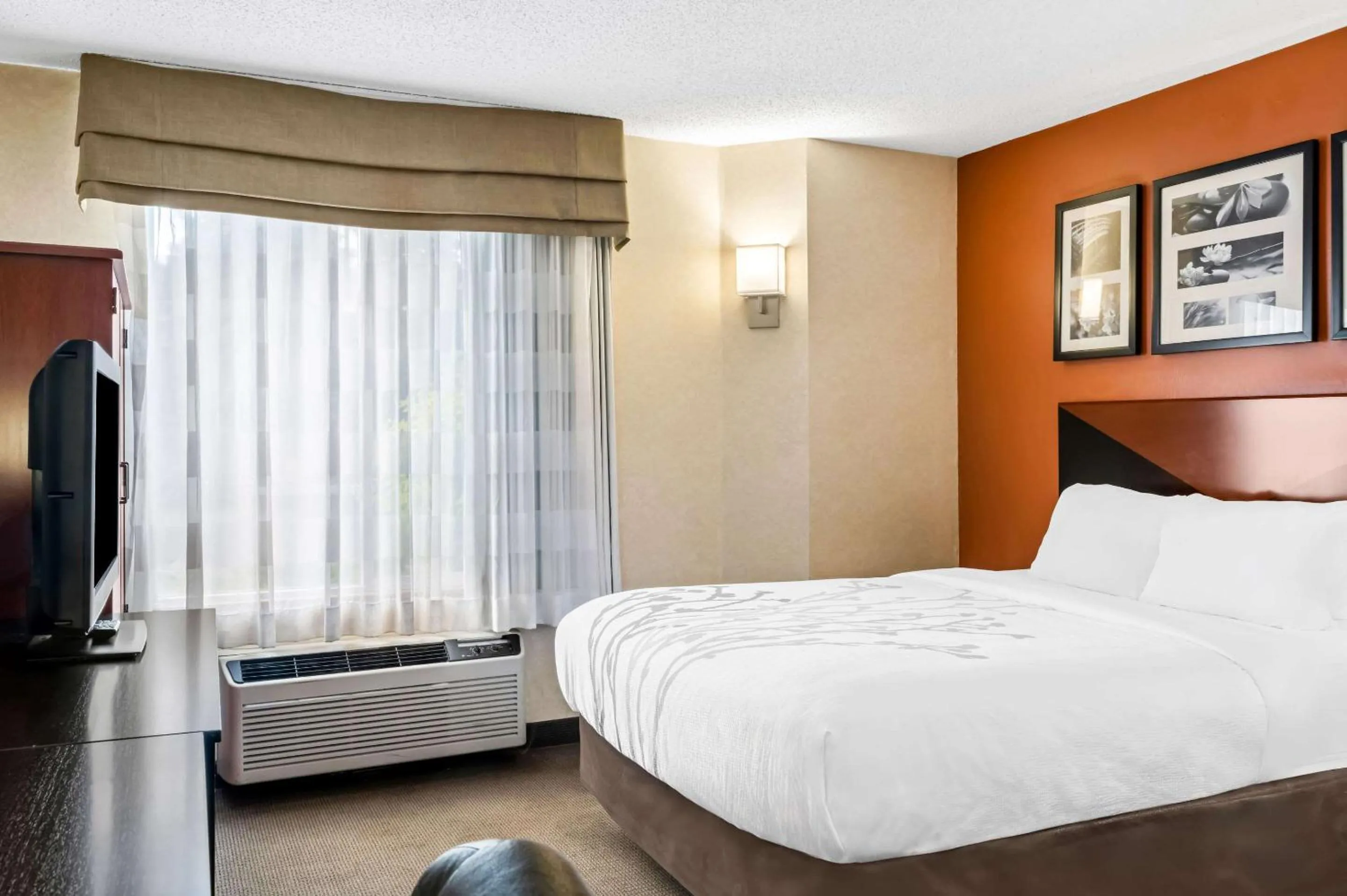 Bedroom, Bed in Sleep Inn Billings