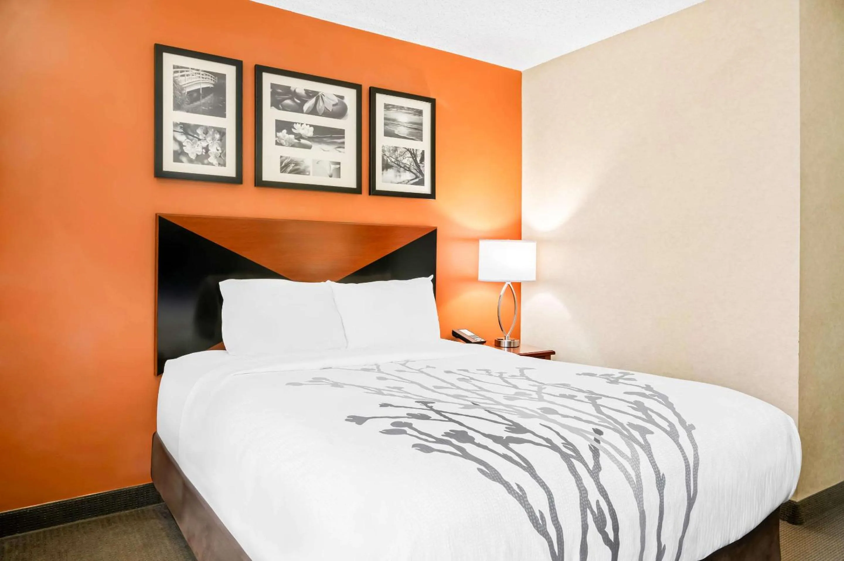 Bedroom, Bed in Sleep Inn Billings