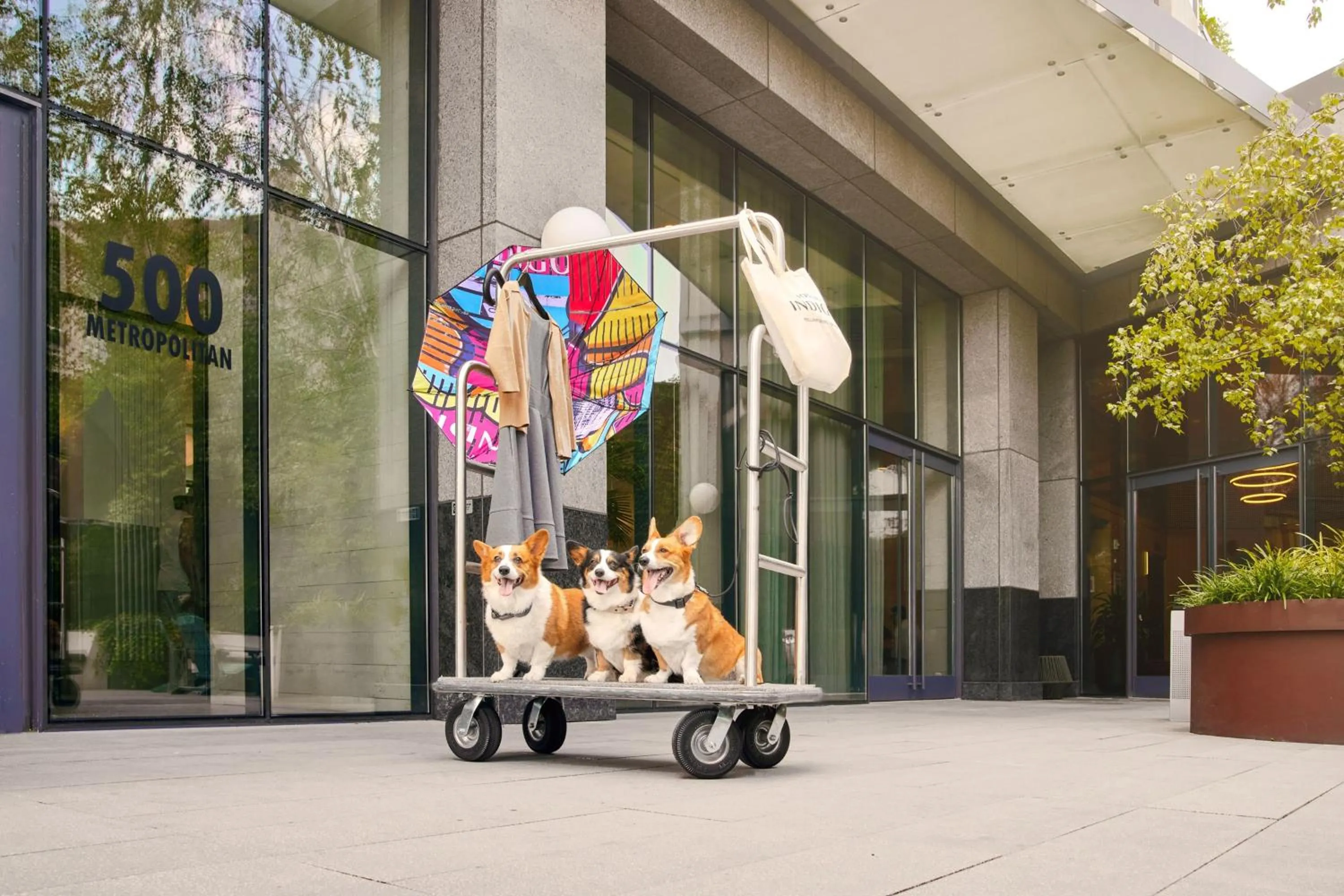 Property building in Hotel Indigo - Williamsburg - Brooklyn by IHG