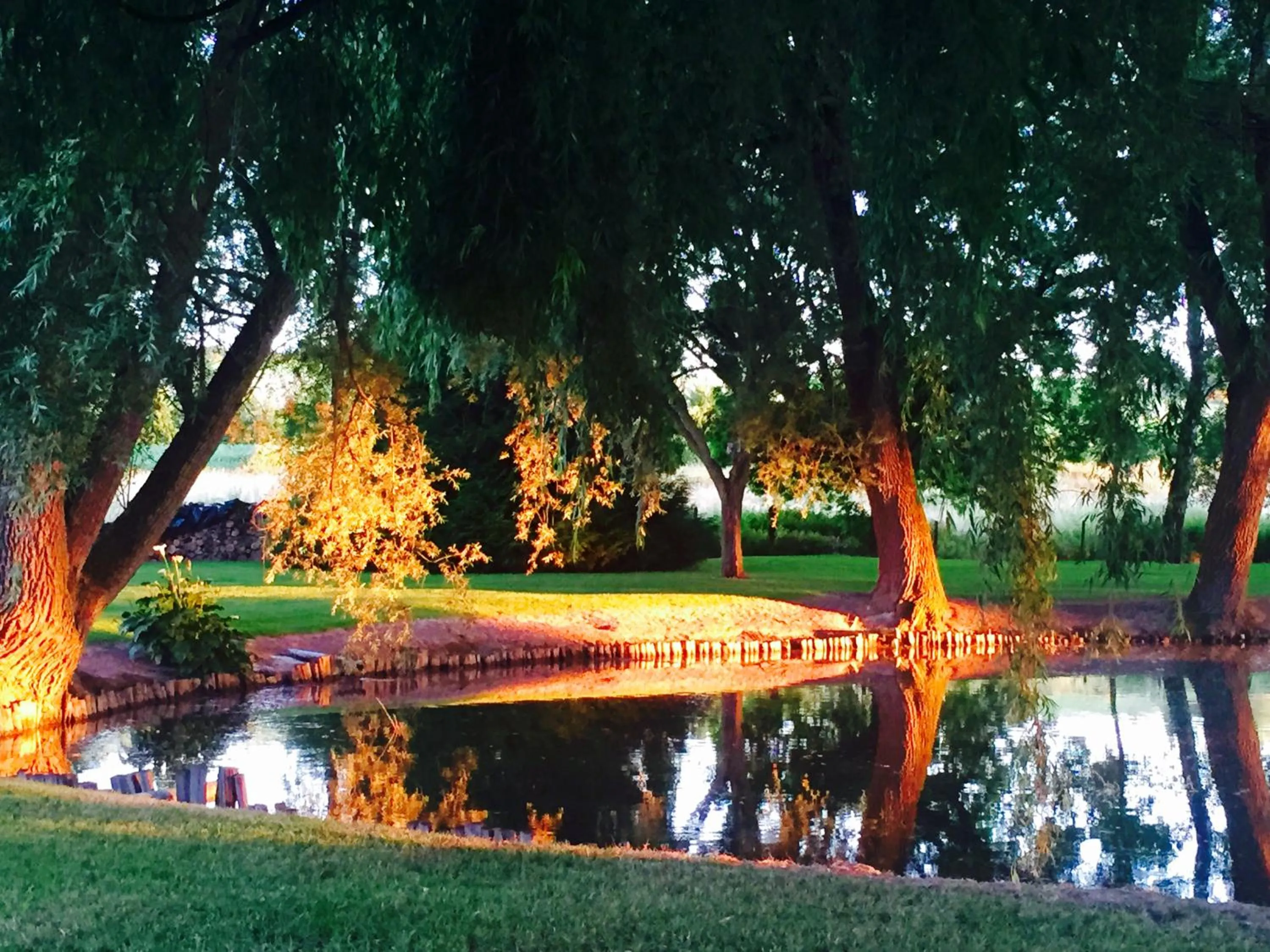 Garden in Domaine de Roullet