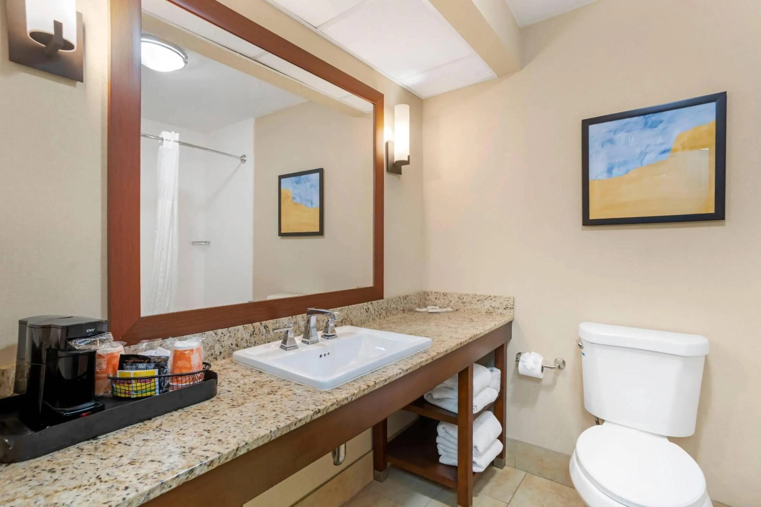 Bathroom in Comfort Suites Gastonia - Charlotte