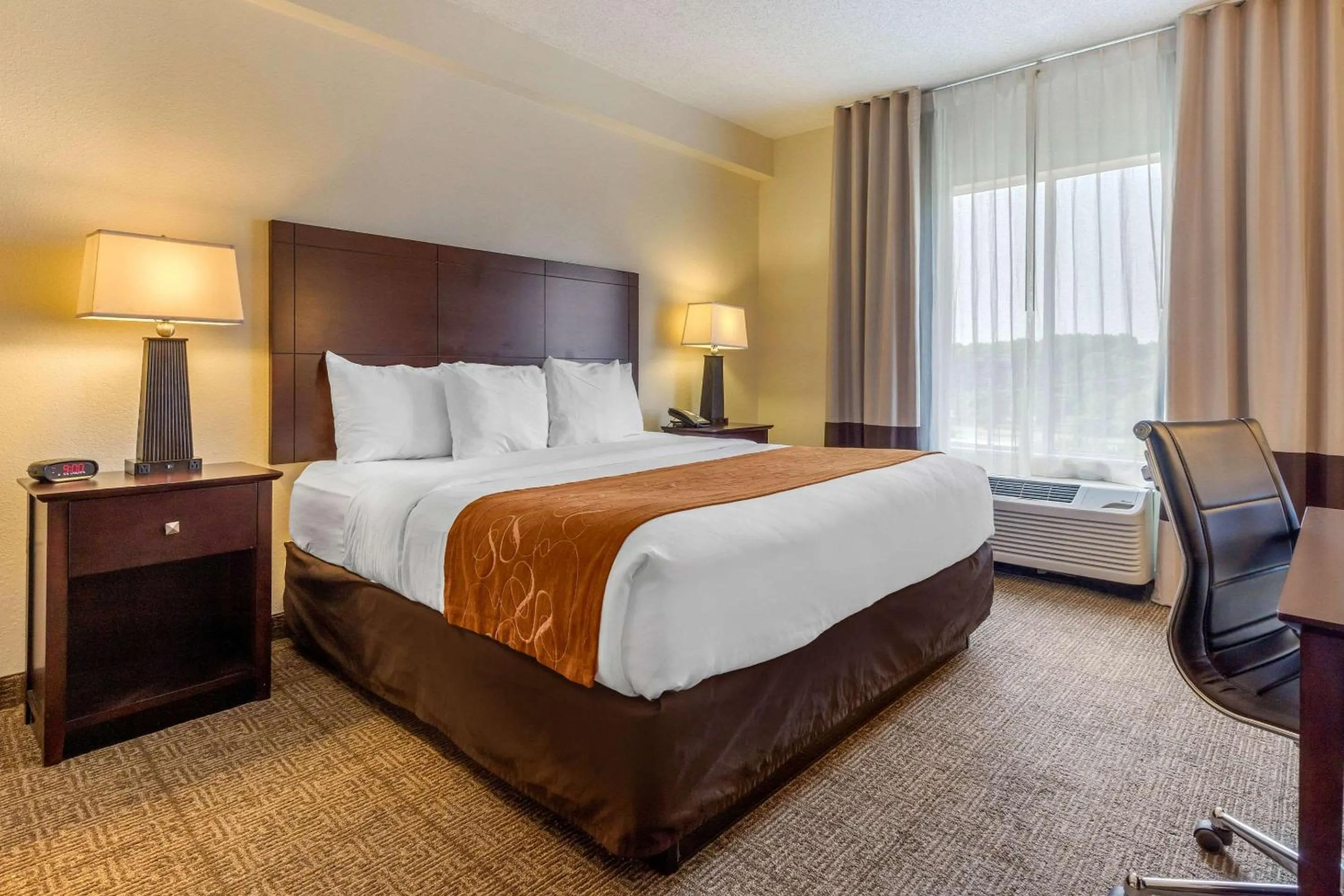 King Suite - Accessible/Non-Smoking in Comfort Suites Gastonia - Charlotte
