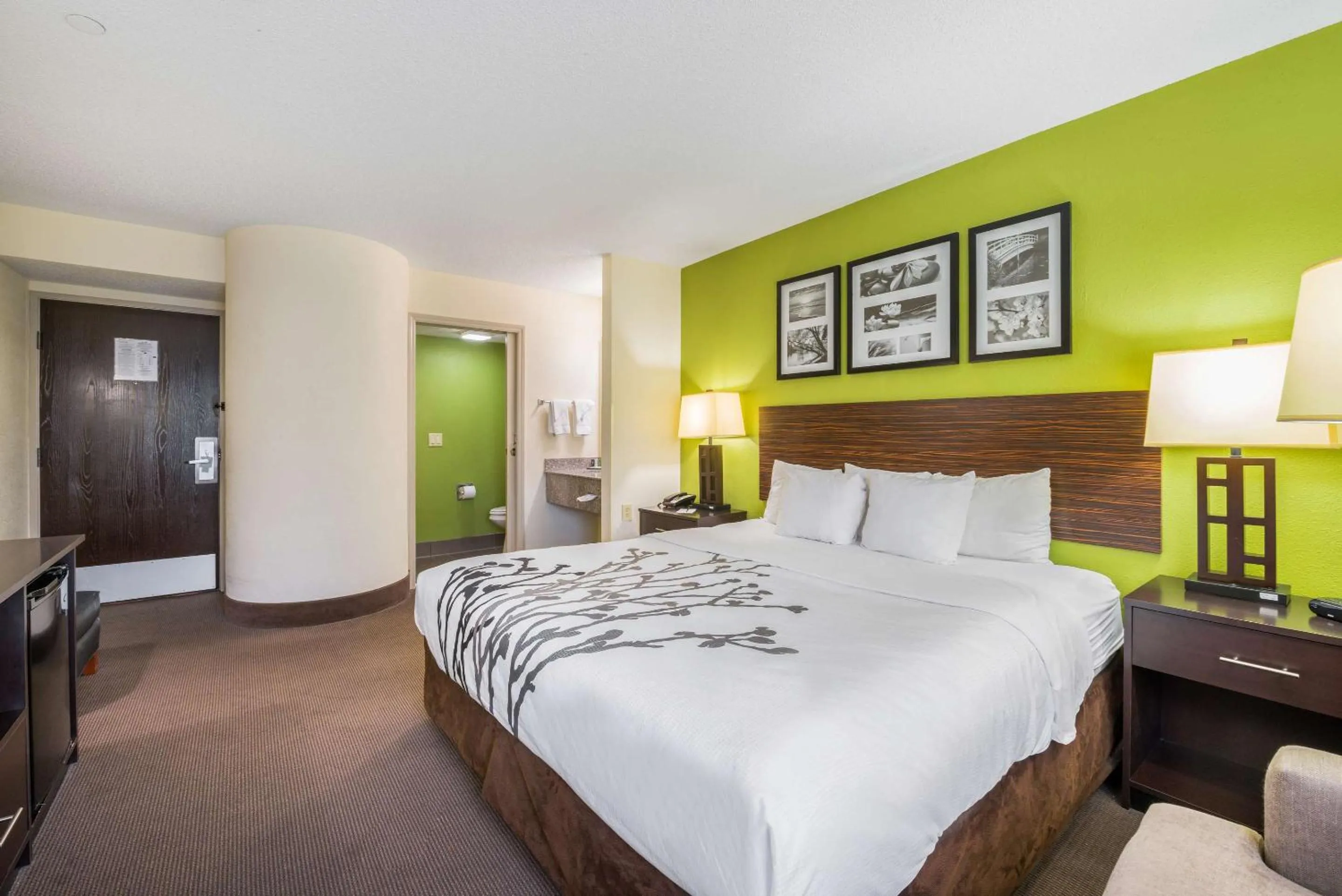 Bedroom, Bed in Sleep Inn Statesville I-40