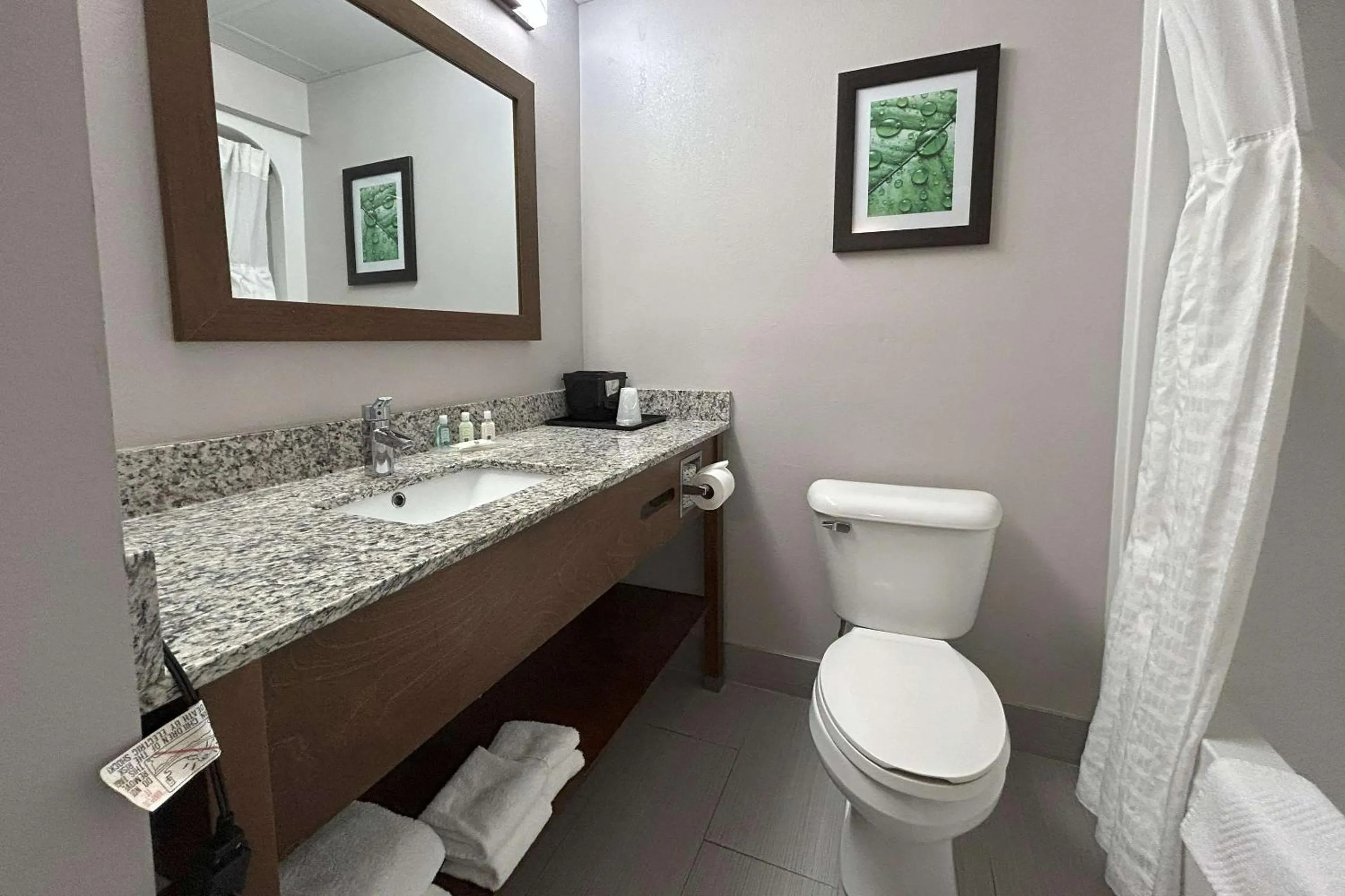 Bedroom in Quality Inn & Suites Tarboro - Kingsboro