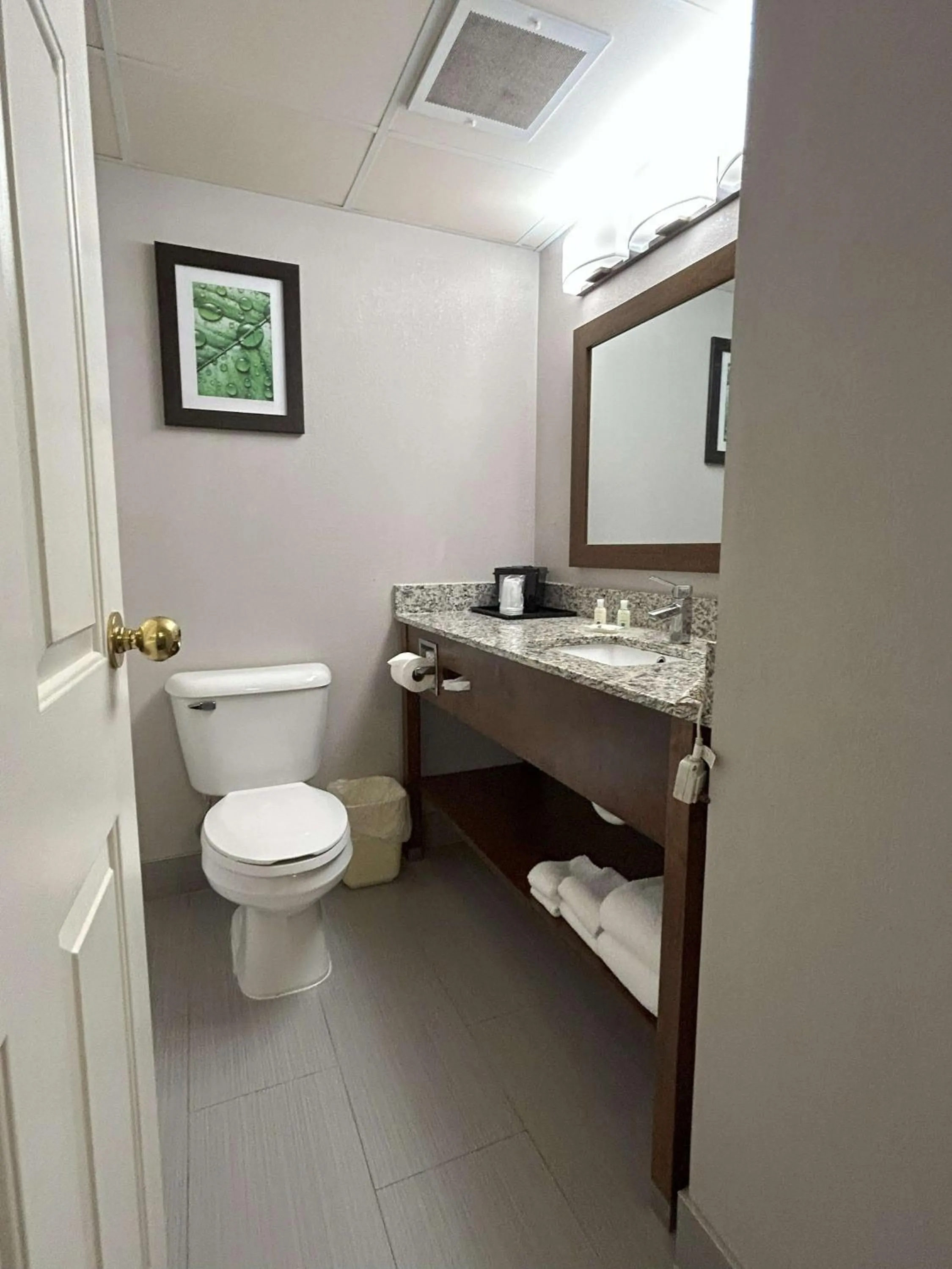 Bedroom in Quality Inn & Suites Tarboro - Kingsboro