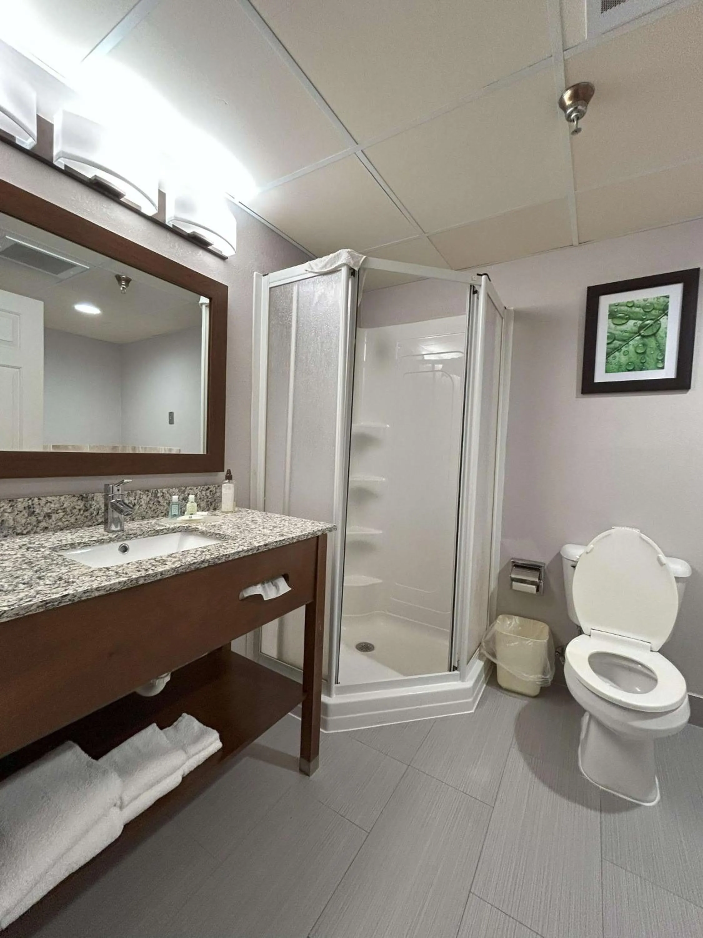 Bedroom in Quality Inn & Suites Tarboro - Kingsboro