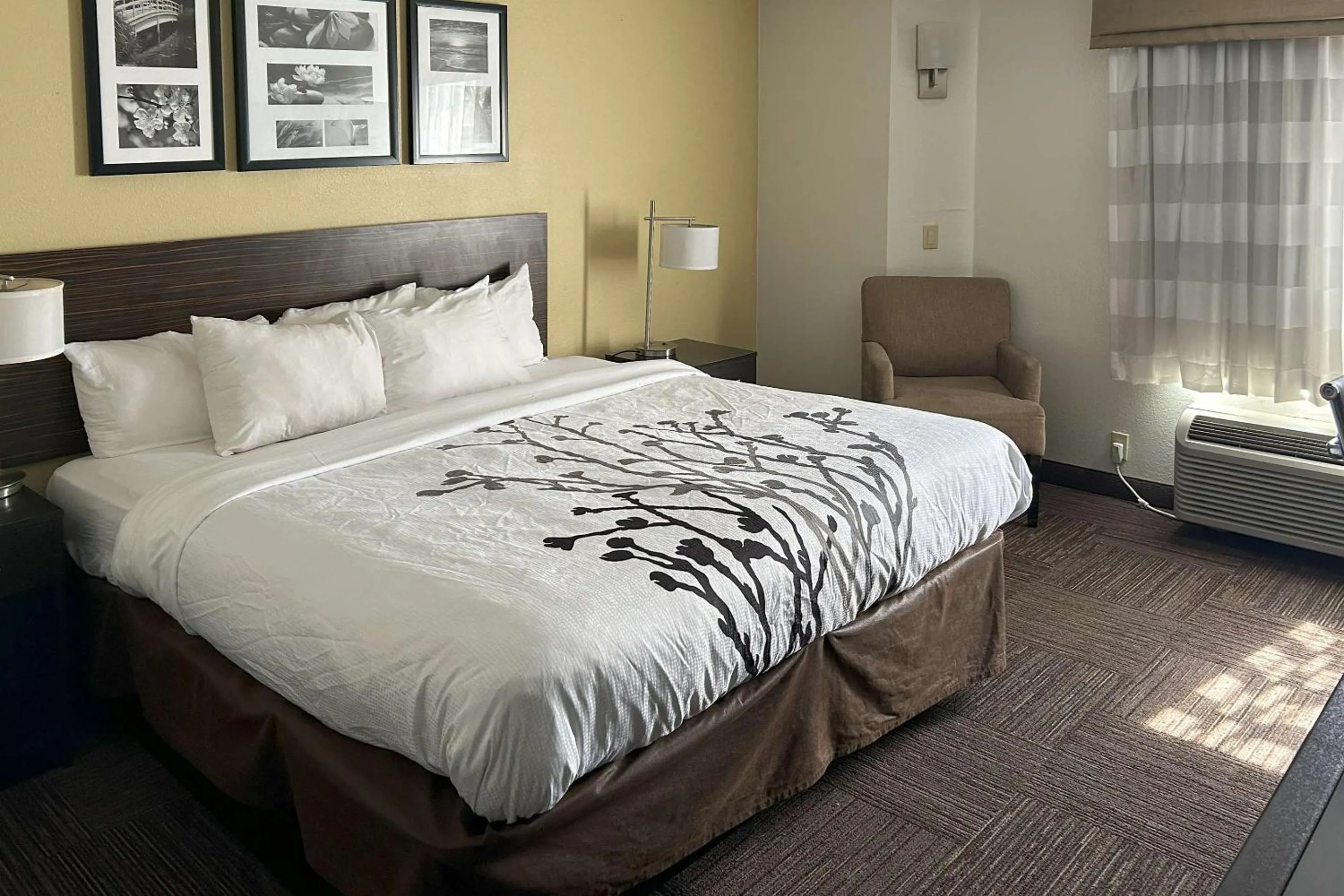 Bedroom, Bed in Sleep Inn Wilson near I-95