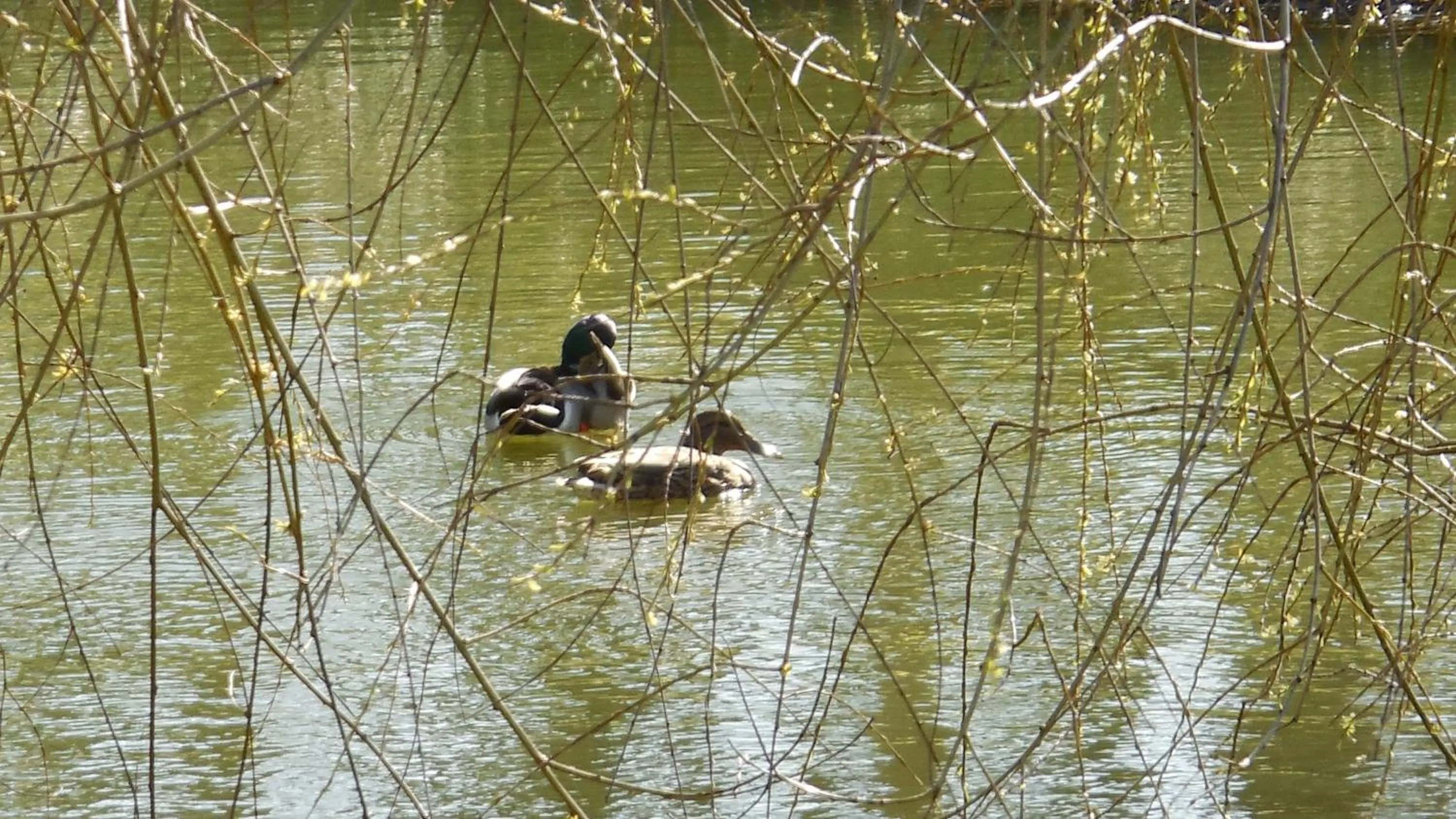 Other in Chambre d'Hôtes Familiale la Jument Grise