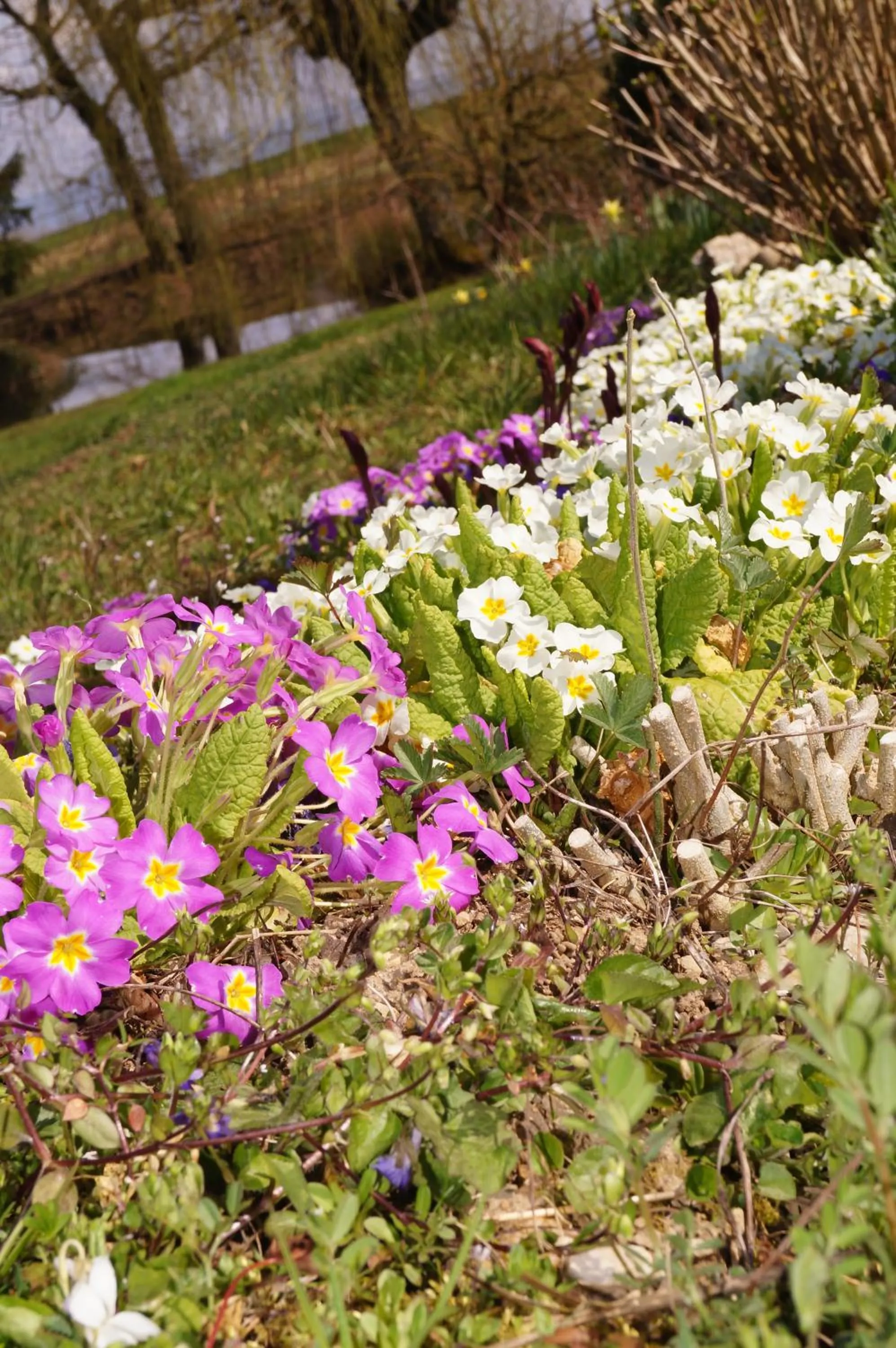 Garden in Chambre d'Hôtes Familiale la Jument Grise