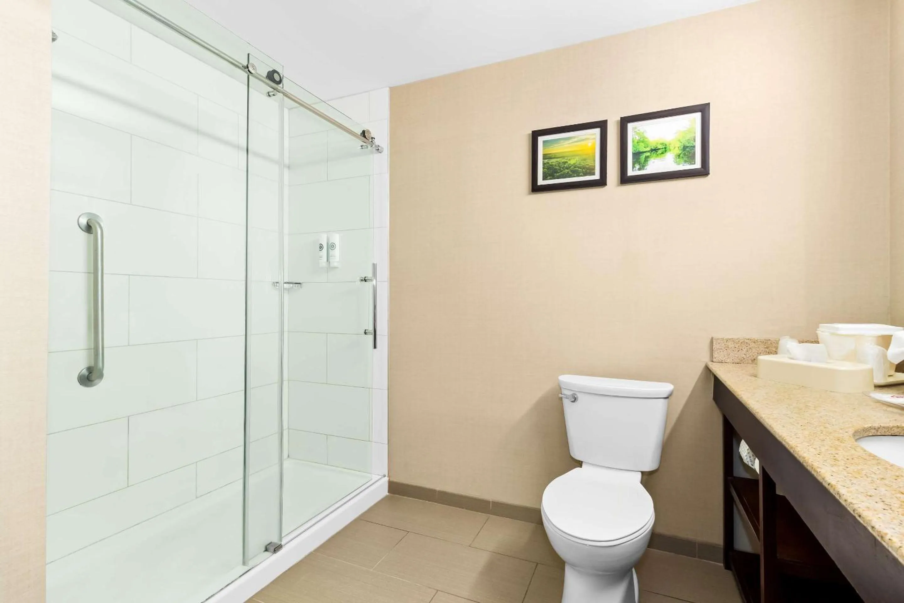 Bedroom in Comfort Suites Lumberton North