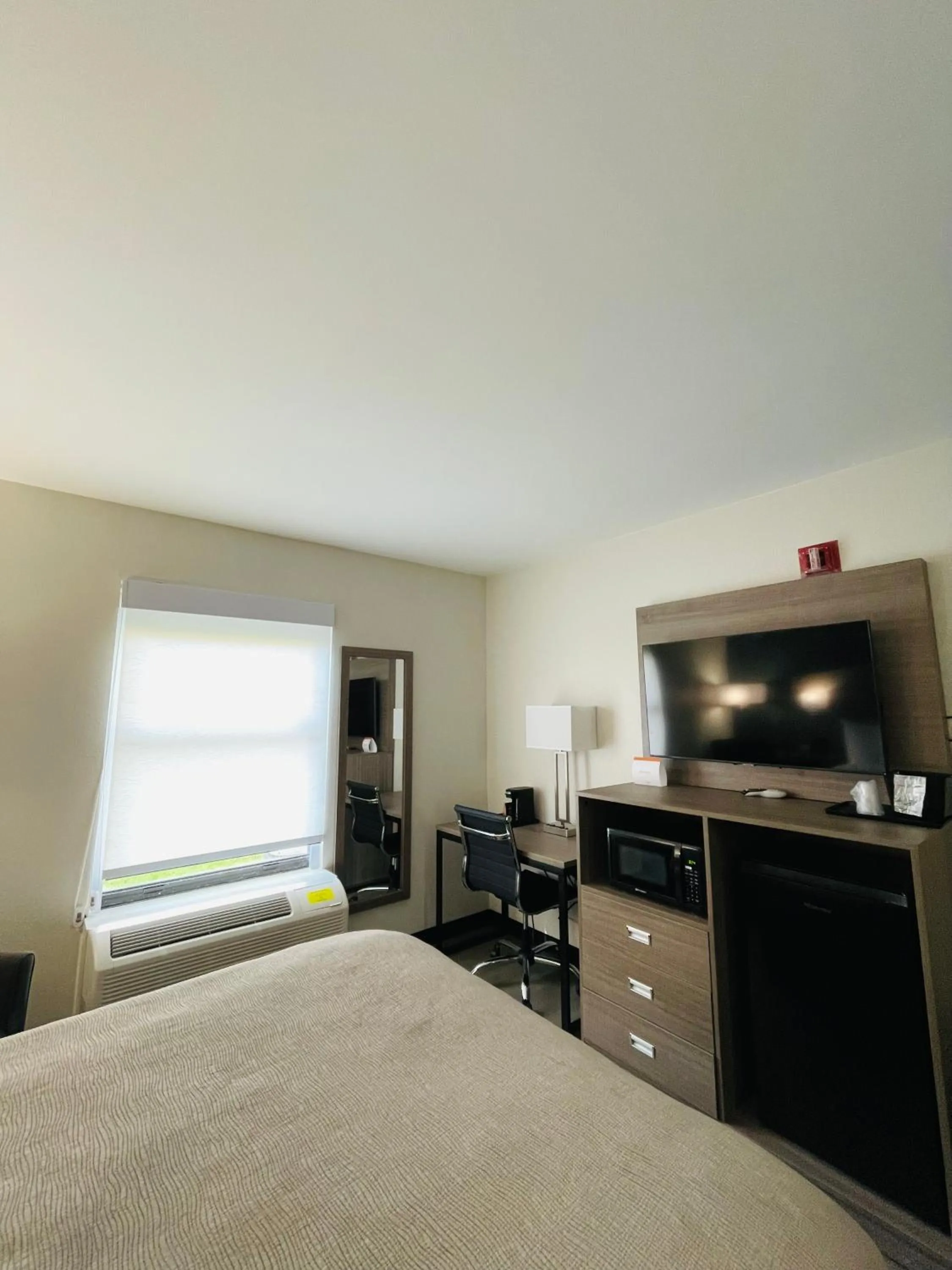 TV and multimedia, Bed in Quality Inn Washington NC