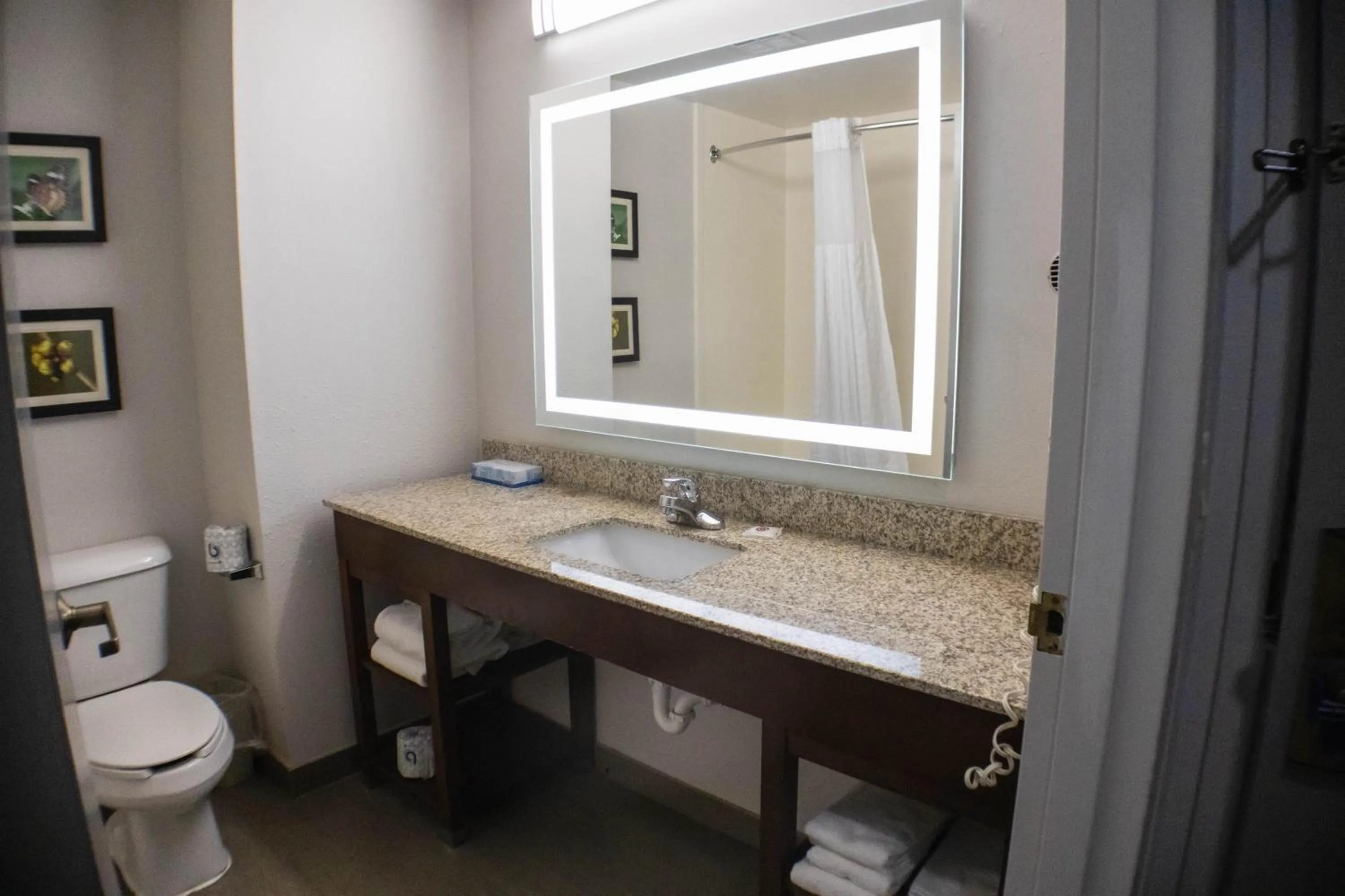 Bathroom in Comfort Suites Salisbury I-85