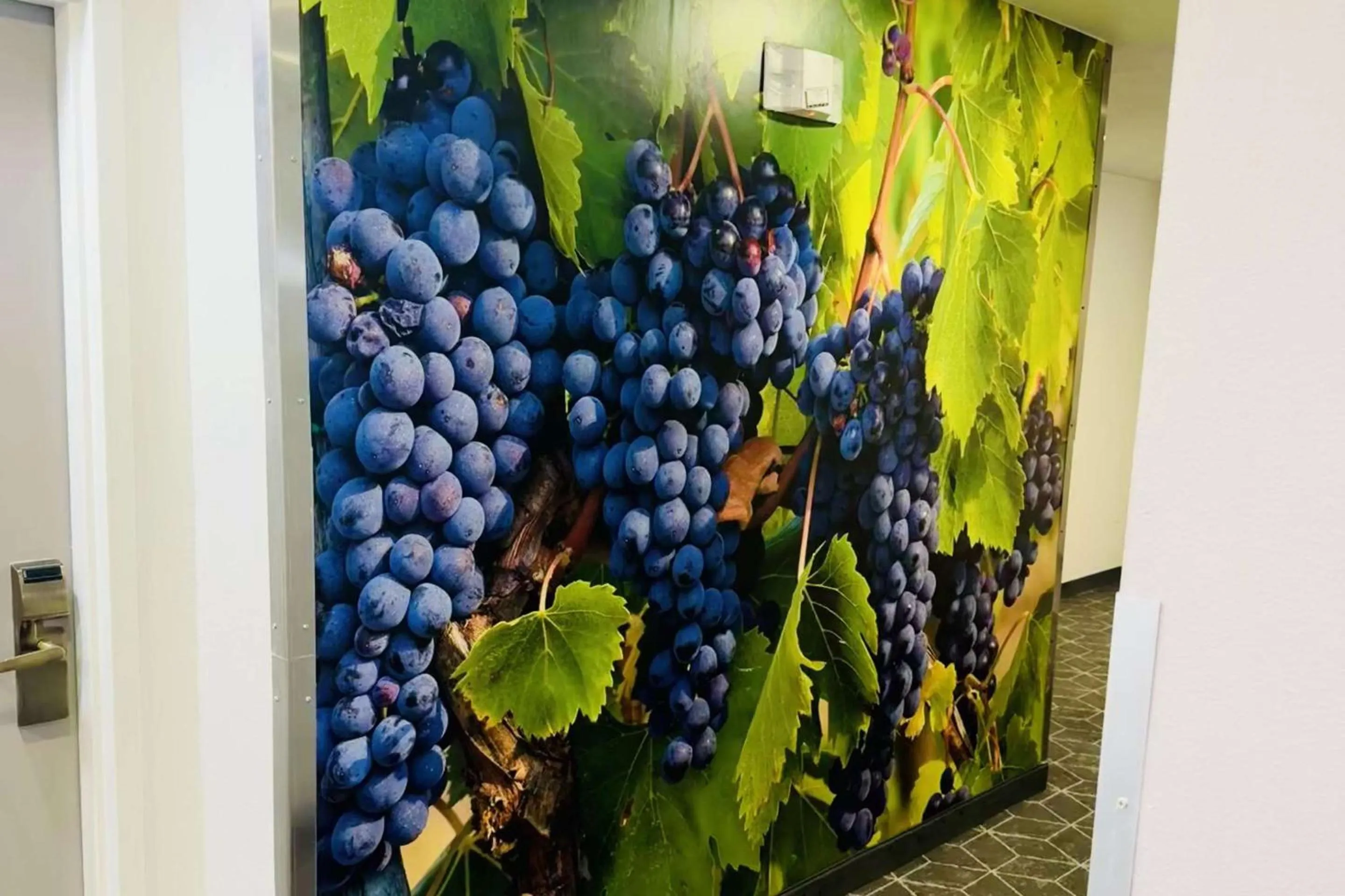 Lobby or reception in Clarion Pointe Albemarle