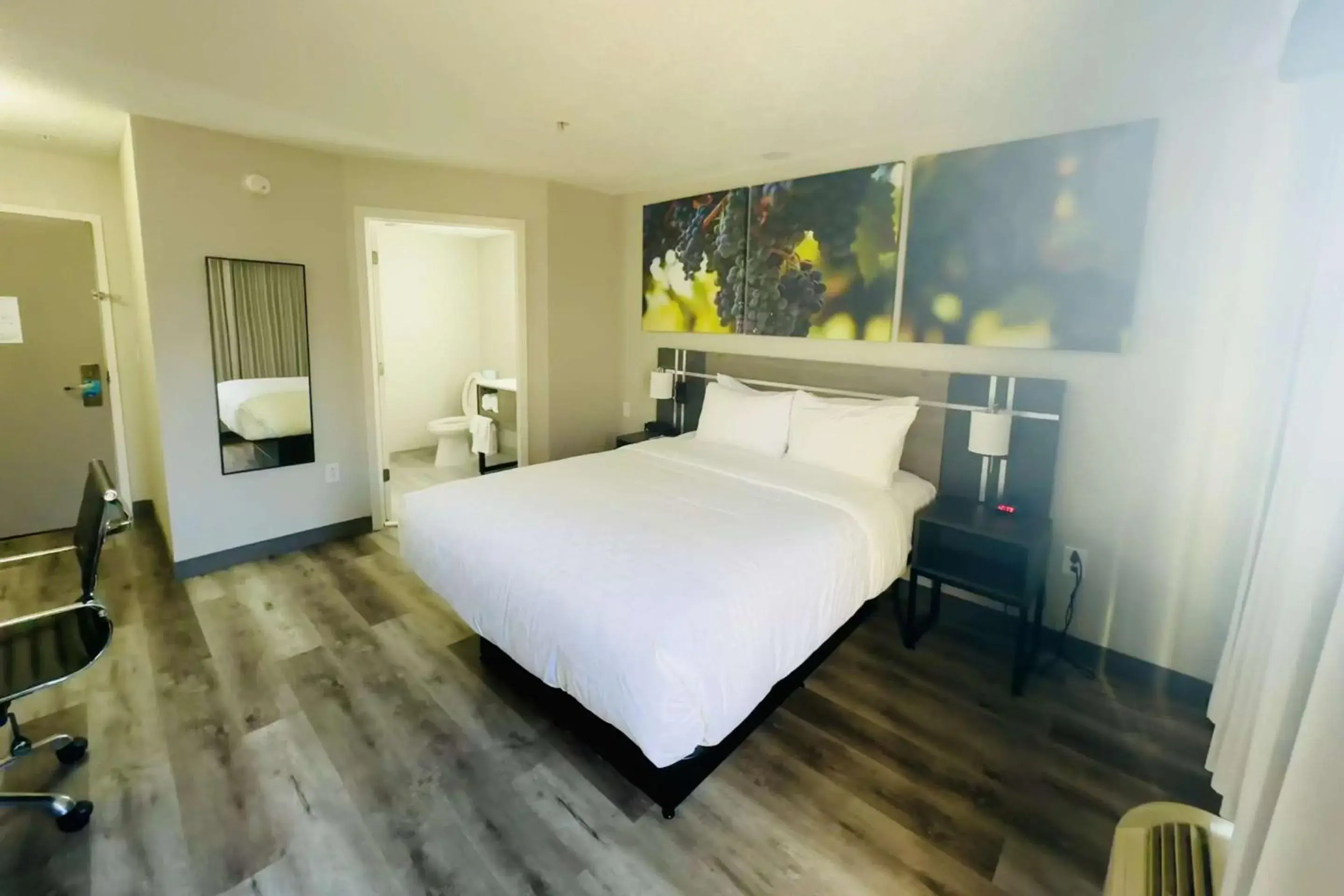 Queen Room - Non-Smoking in Clarion Pointe Albemarle Queen Room - Non-Smoking in Clarion Pointe Albemarle